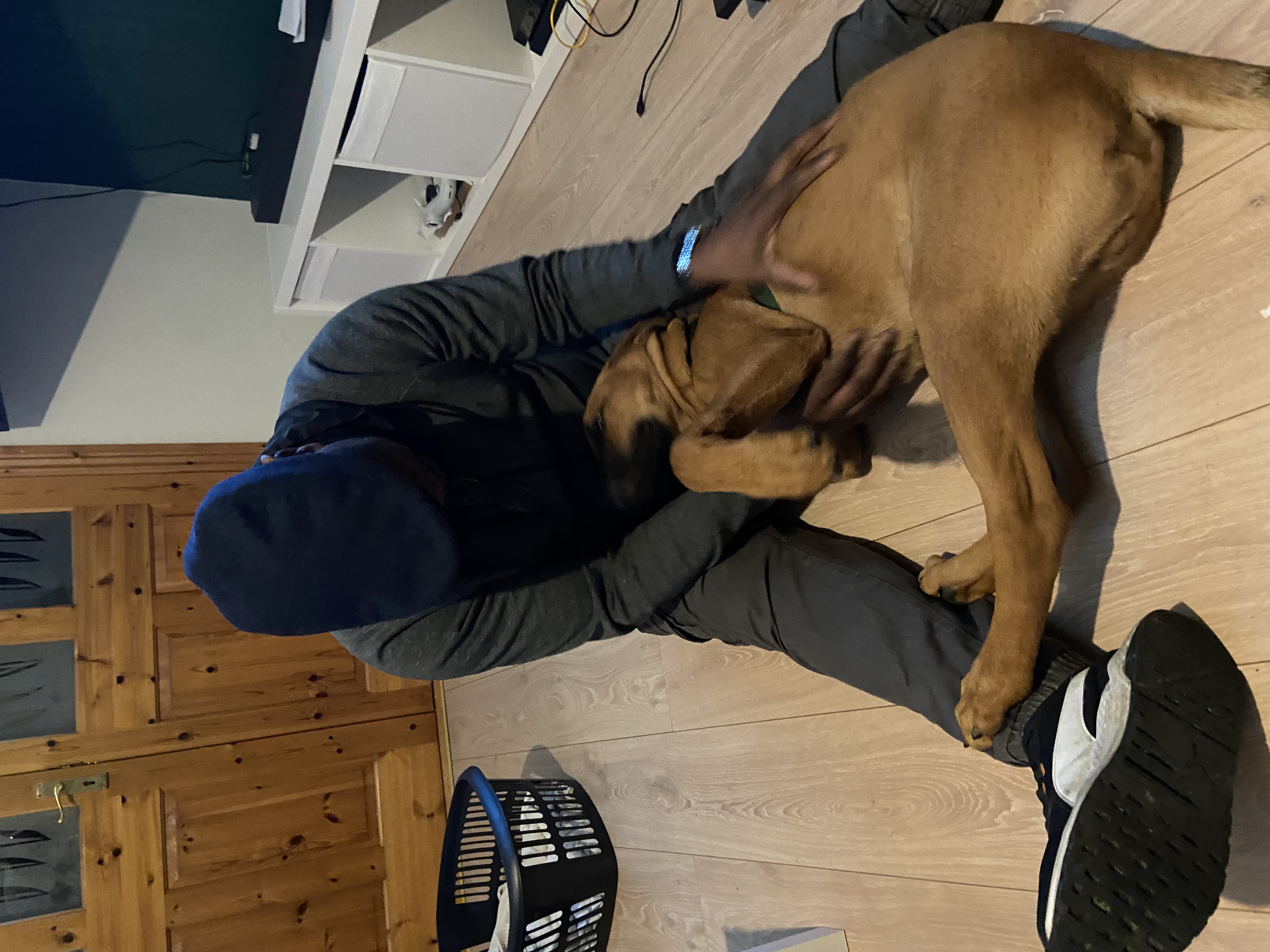image-6