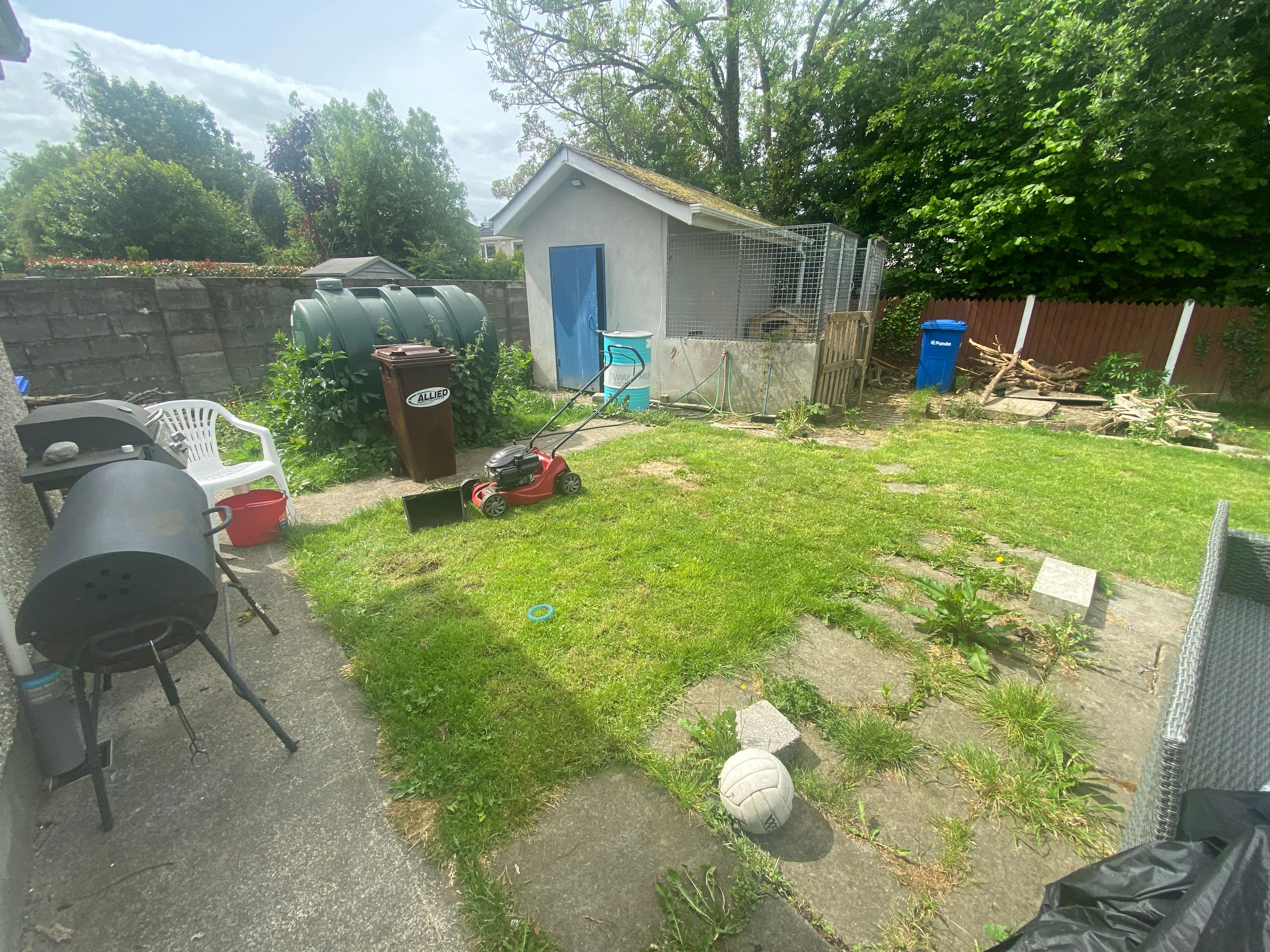 image-12