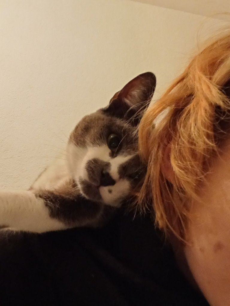 image-6