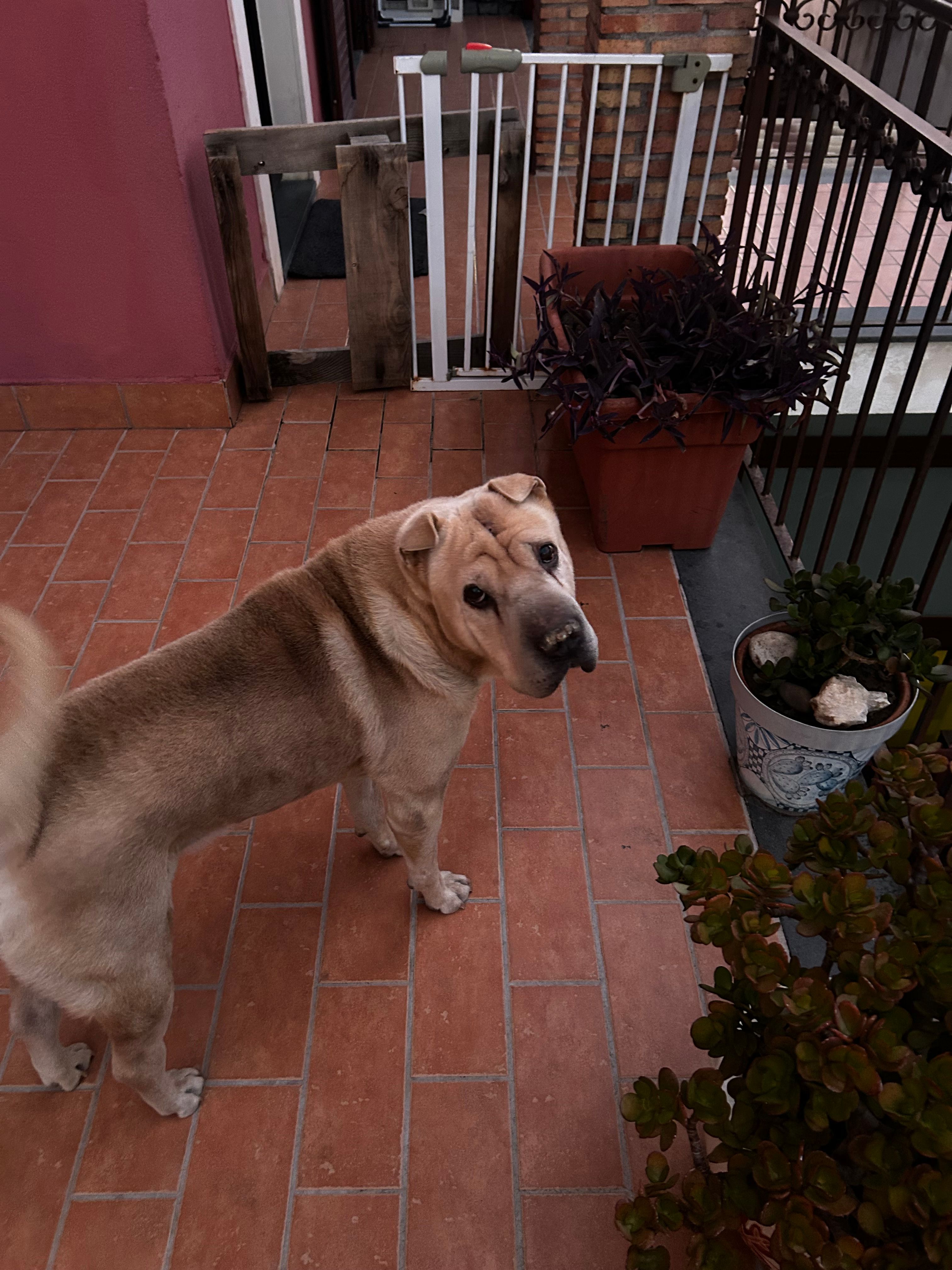 image-16