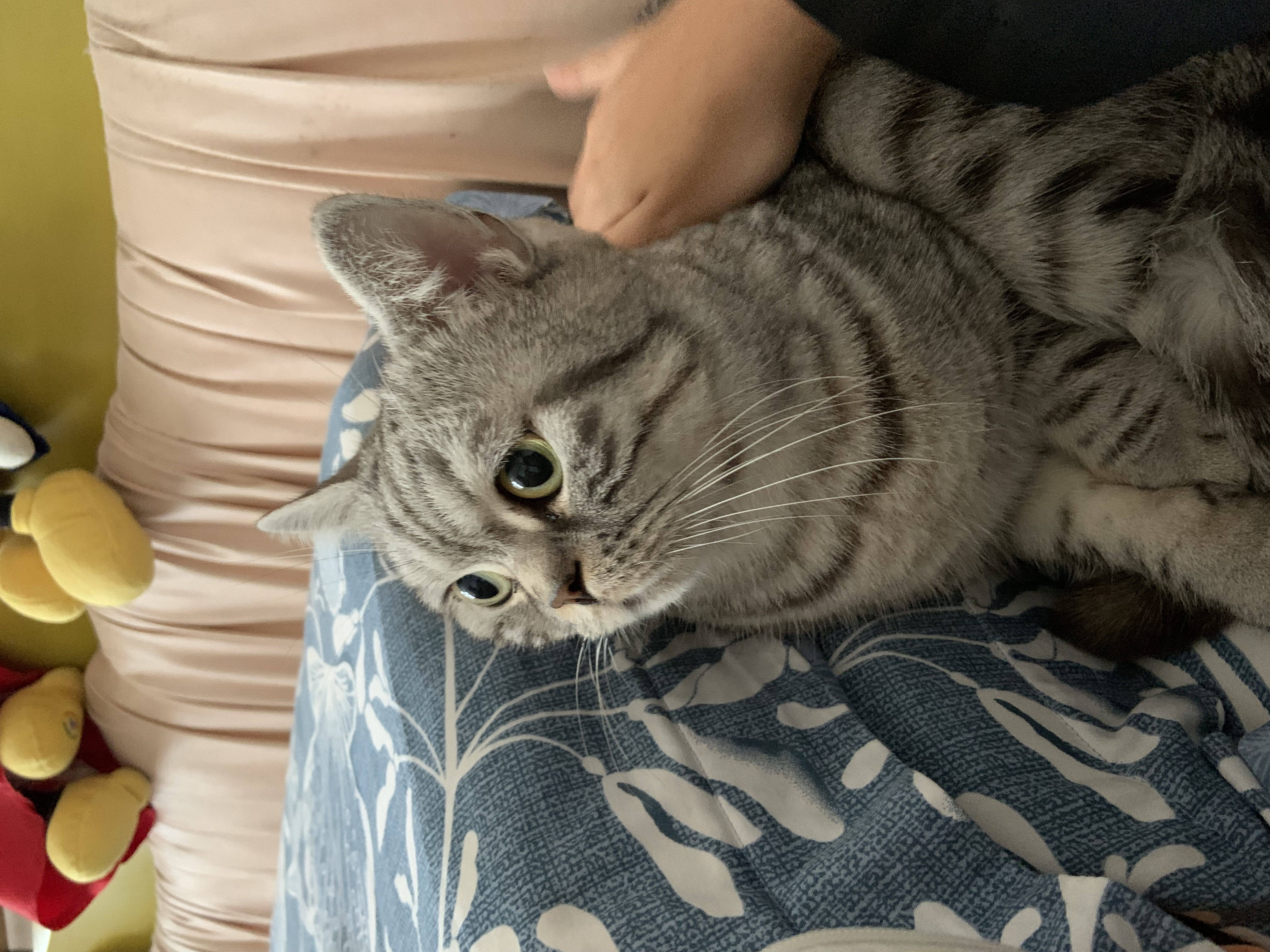image-11