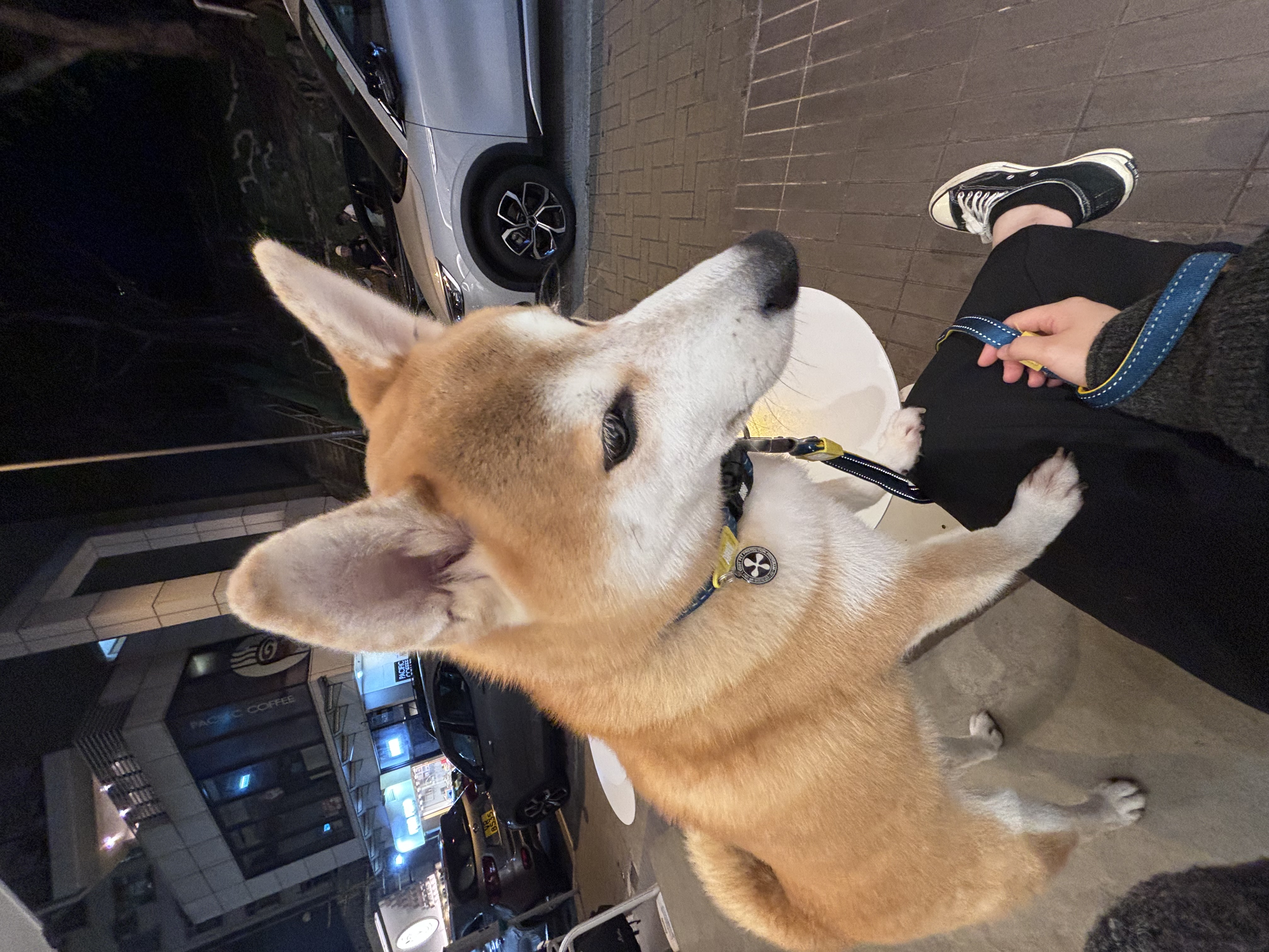 image-7