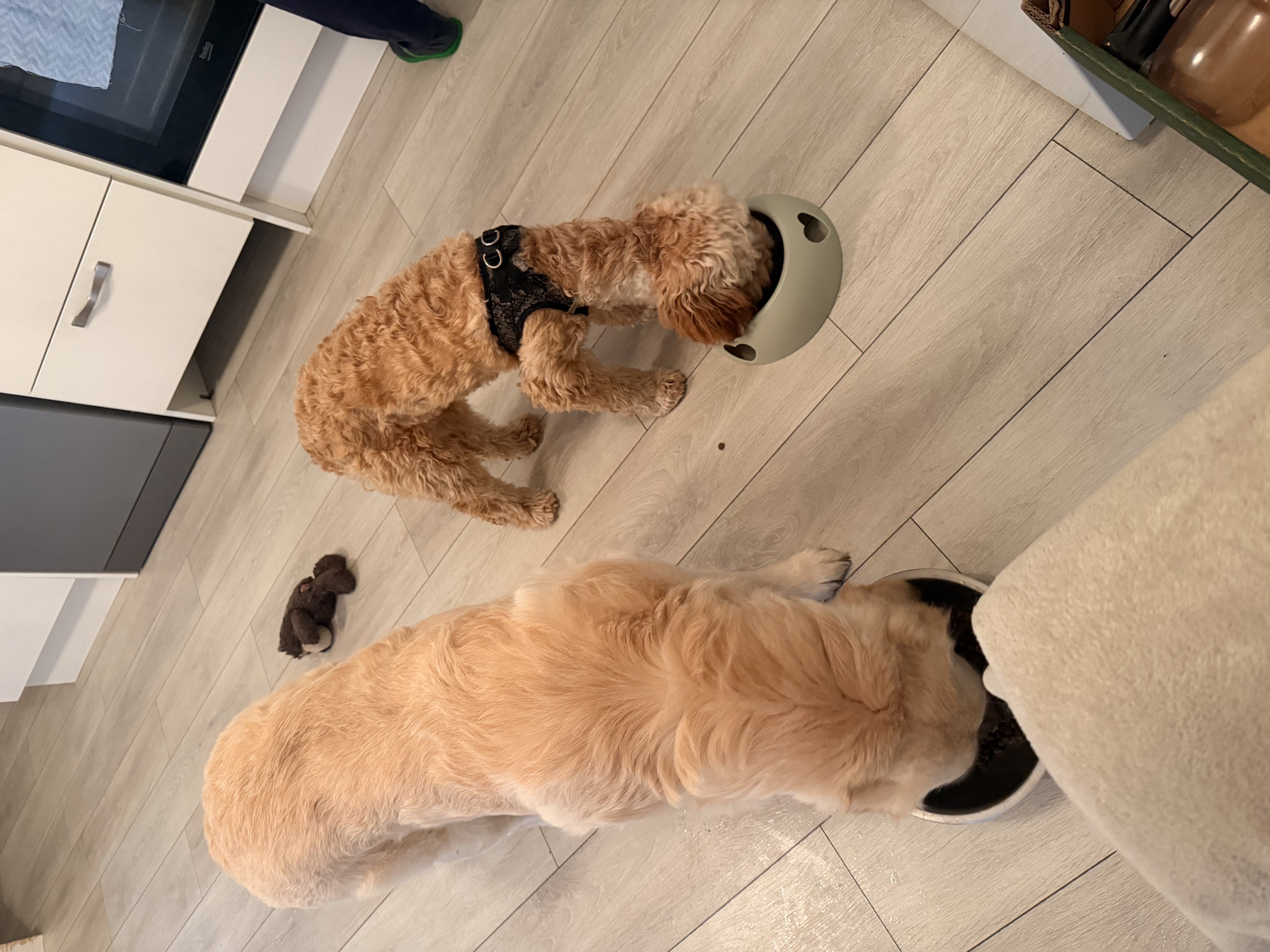 image-28