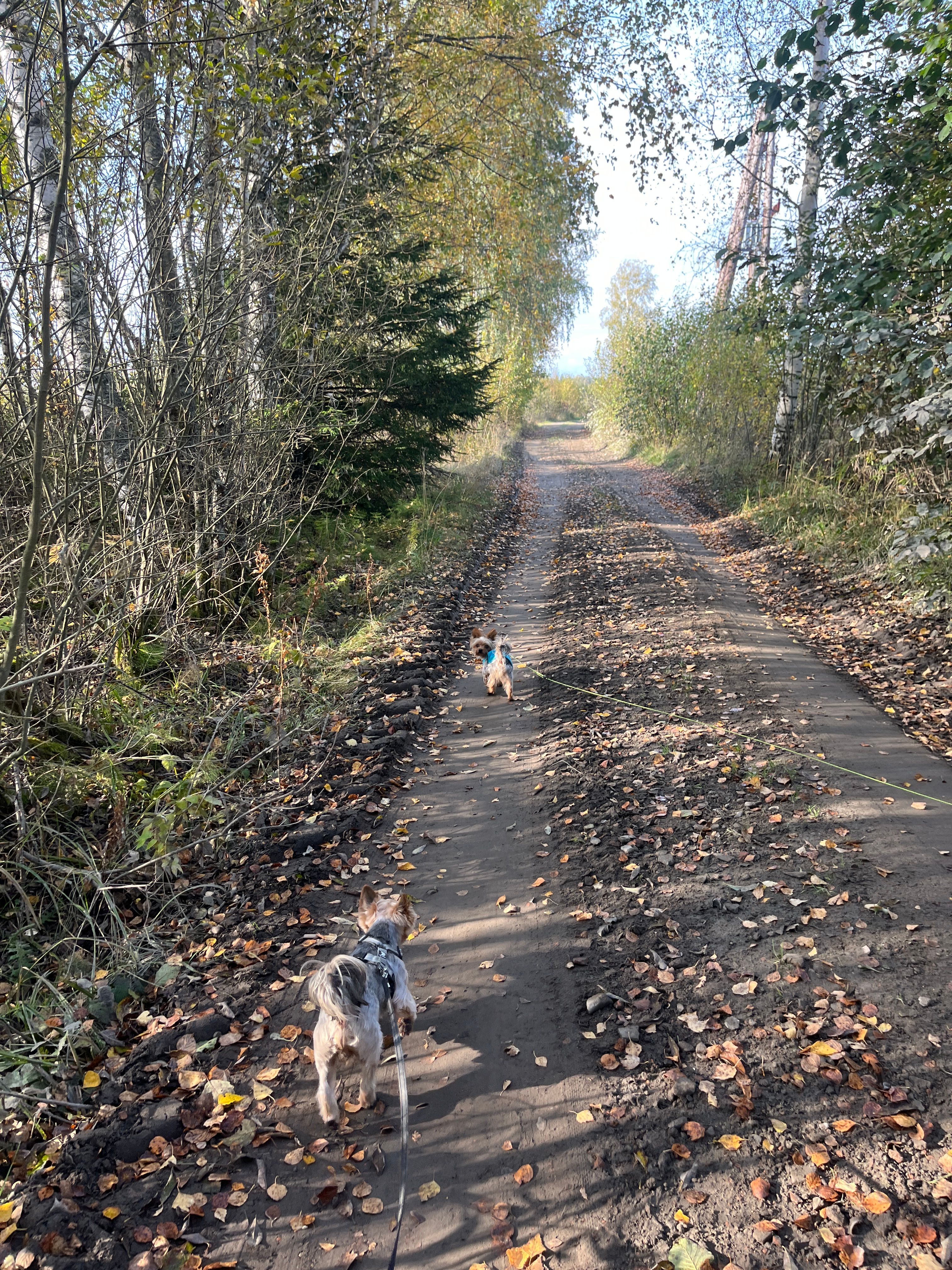 image-8