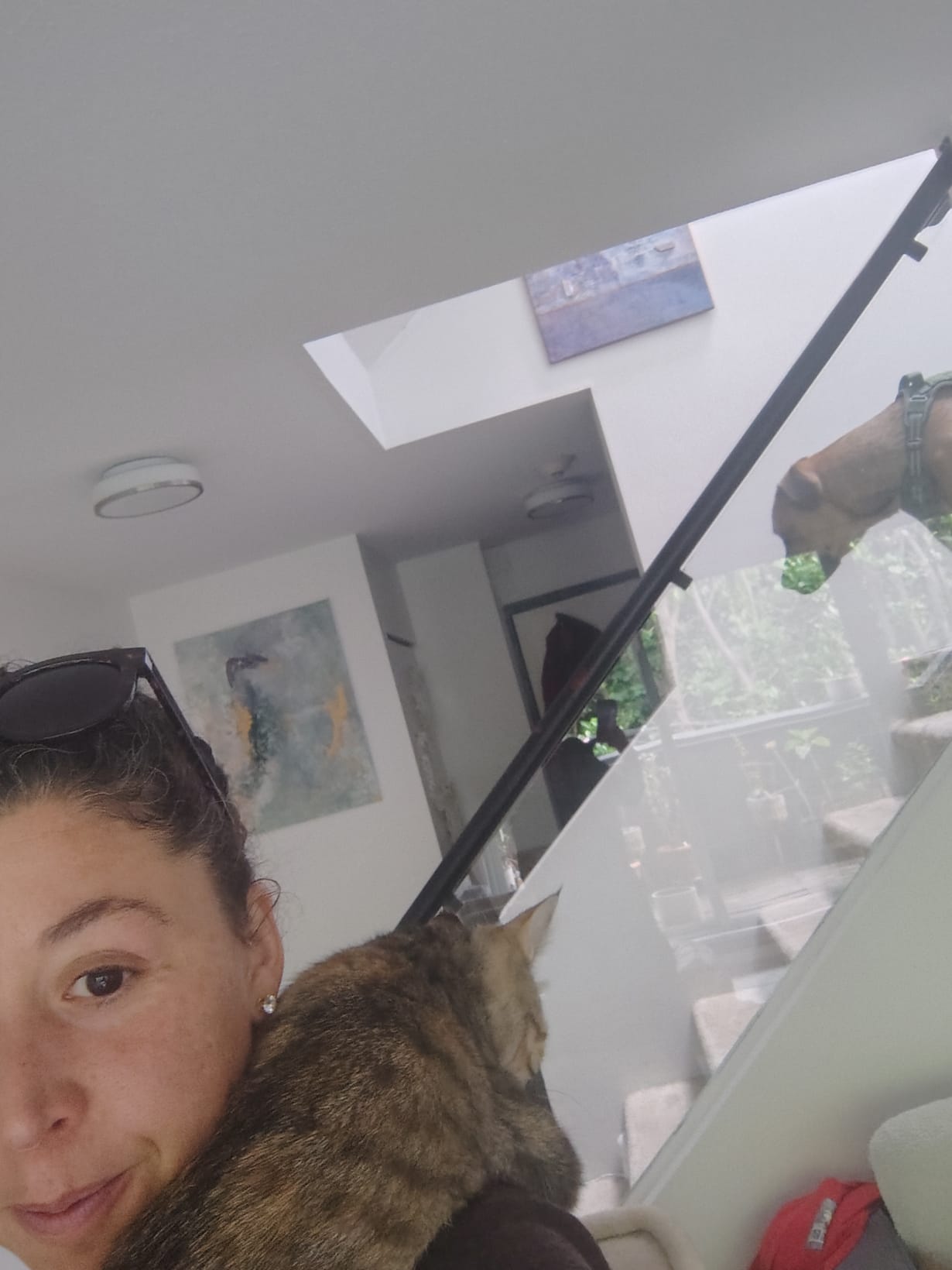 image-4