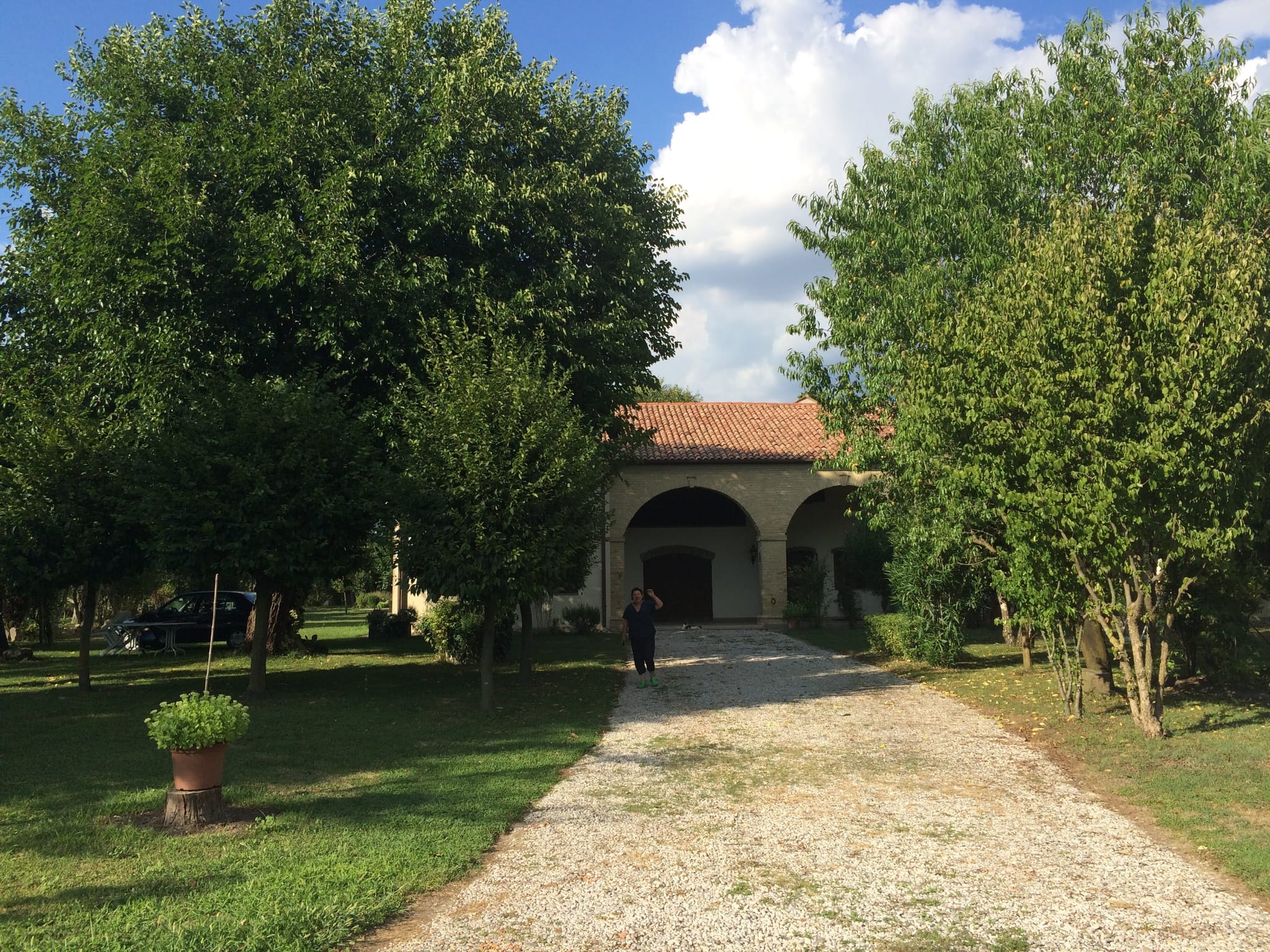 image-17