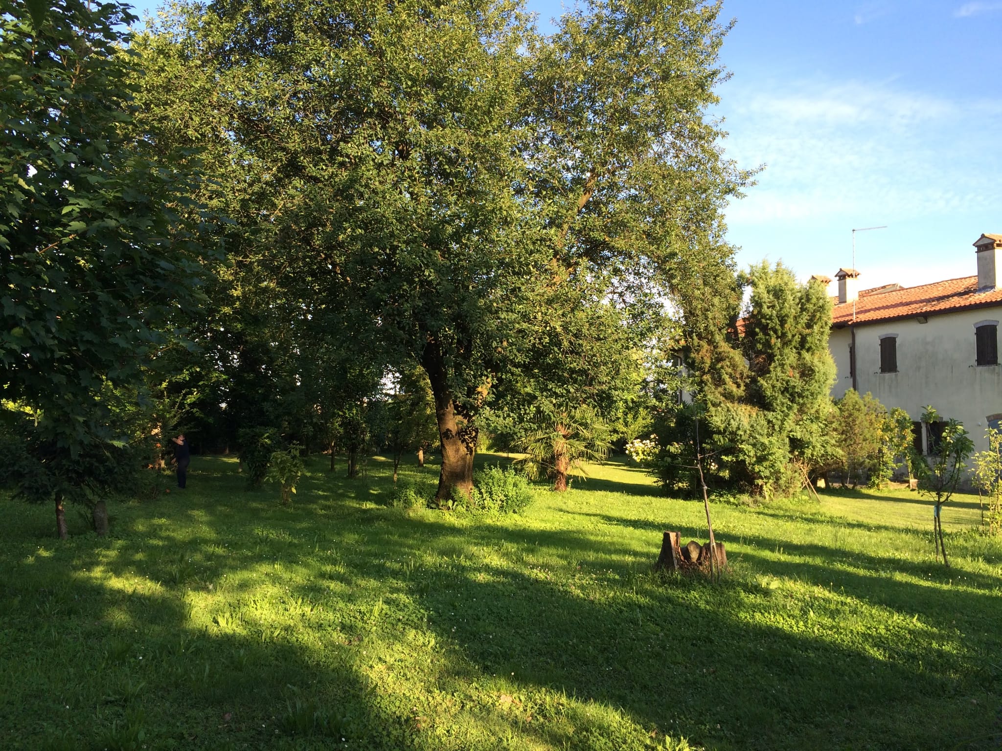 image-21