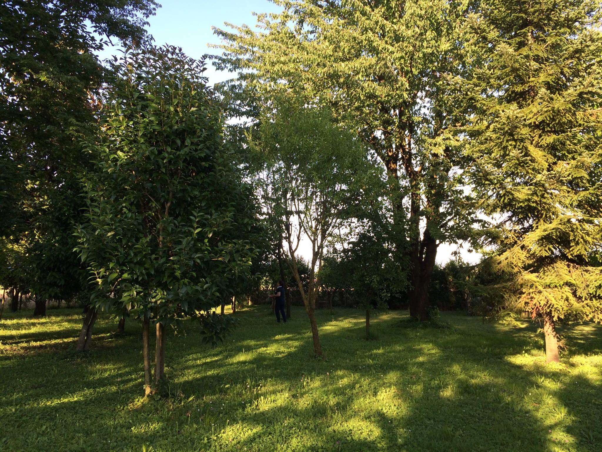 image-19