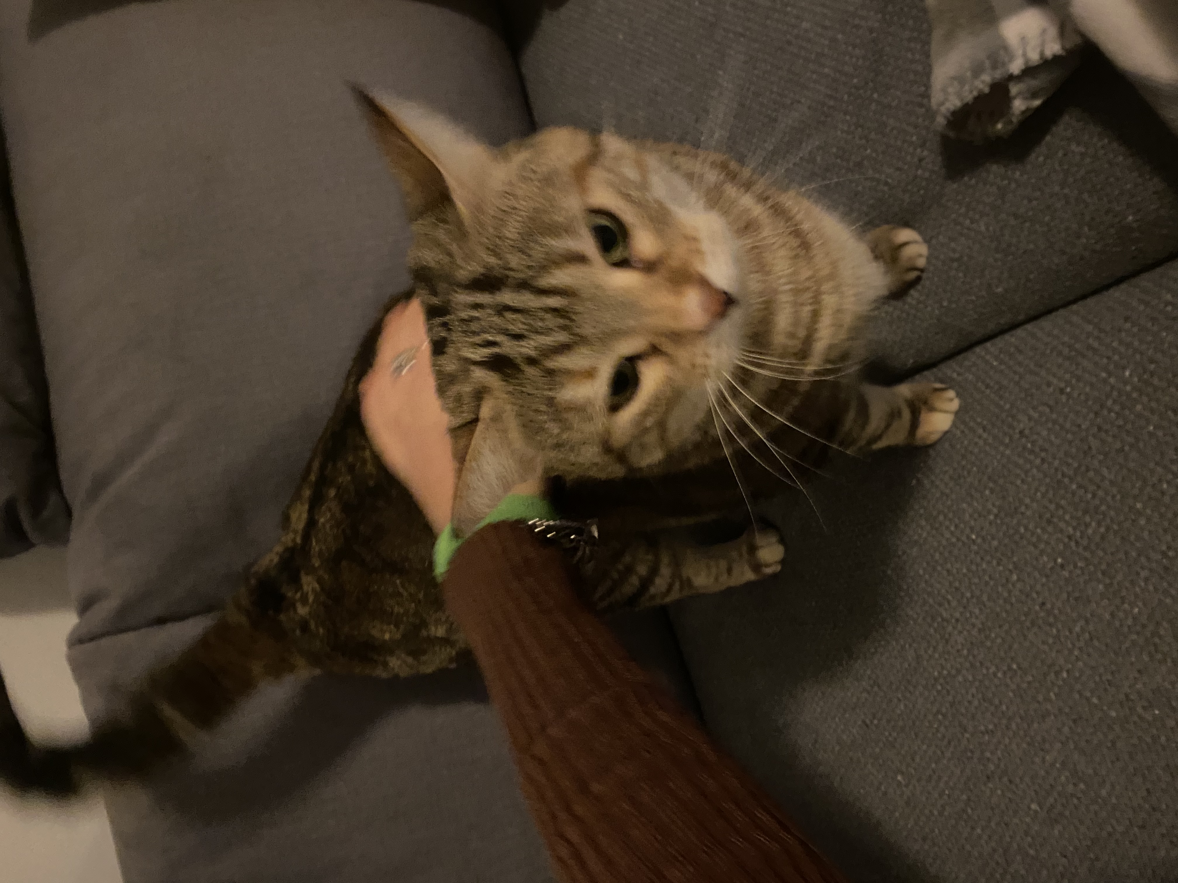 image-8