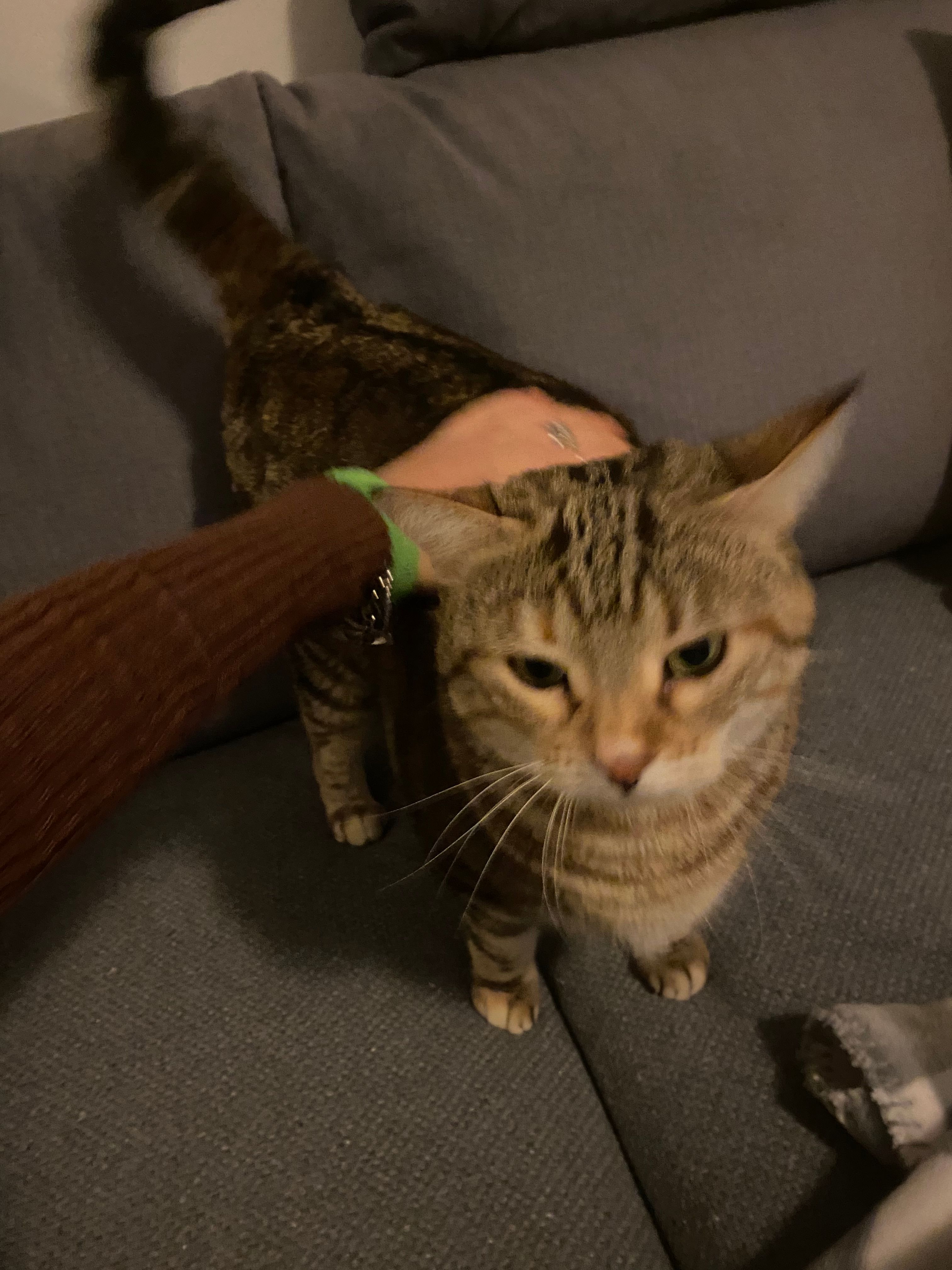 image-8