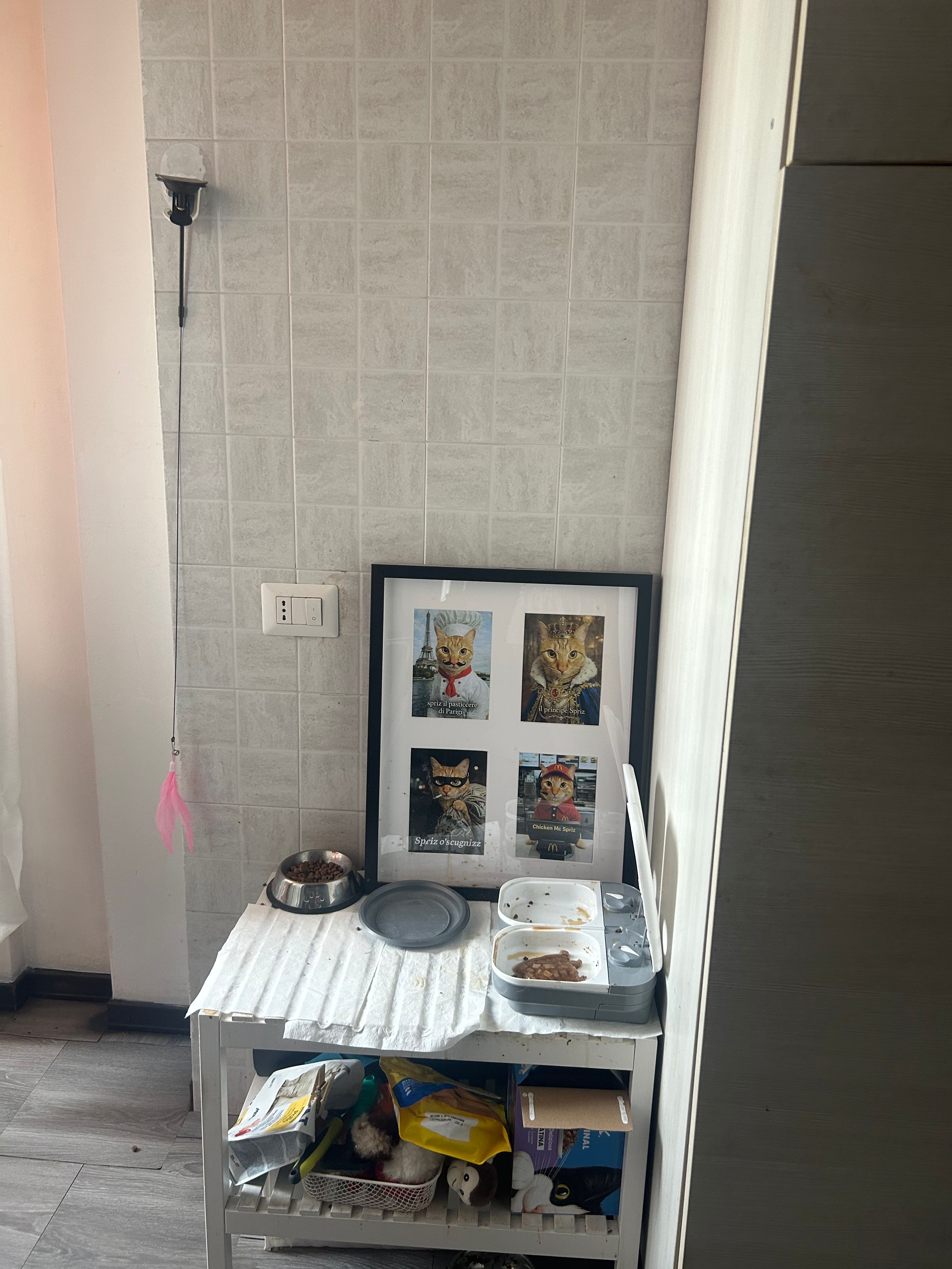 image-11