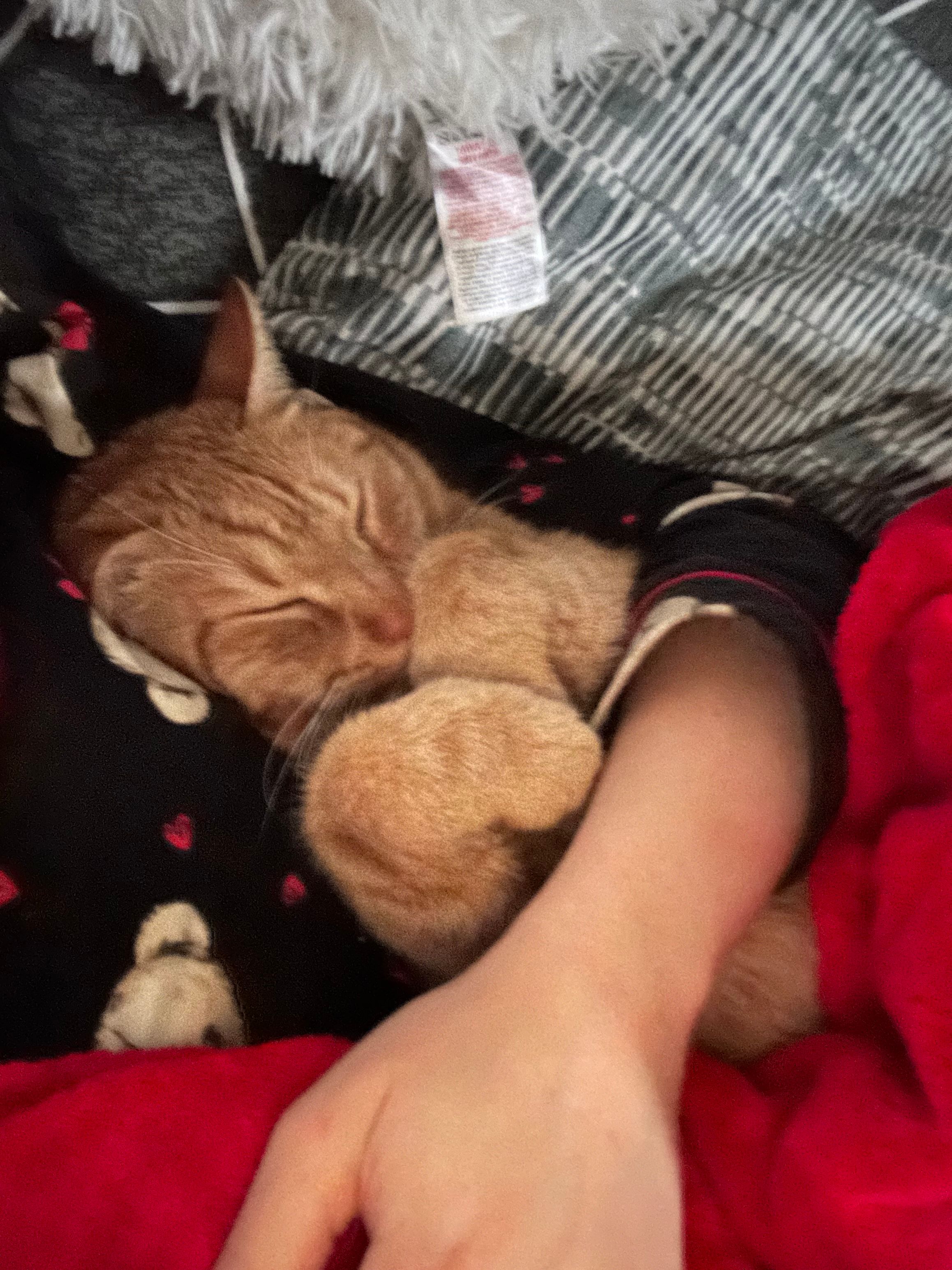 image-6