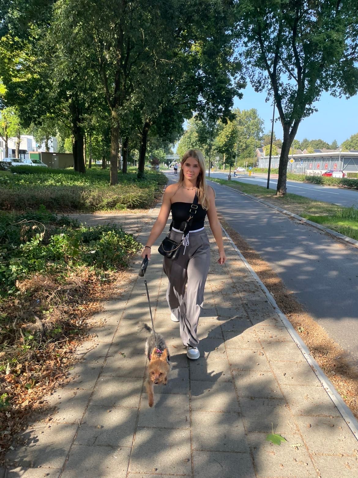 image-6