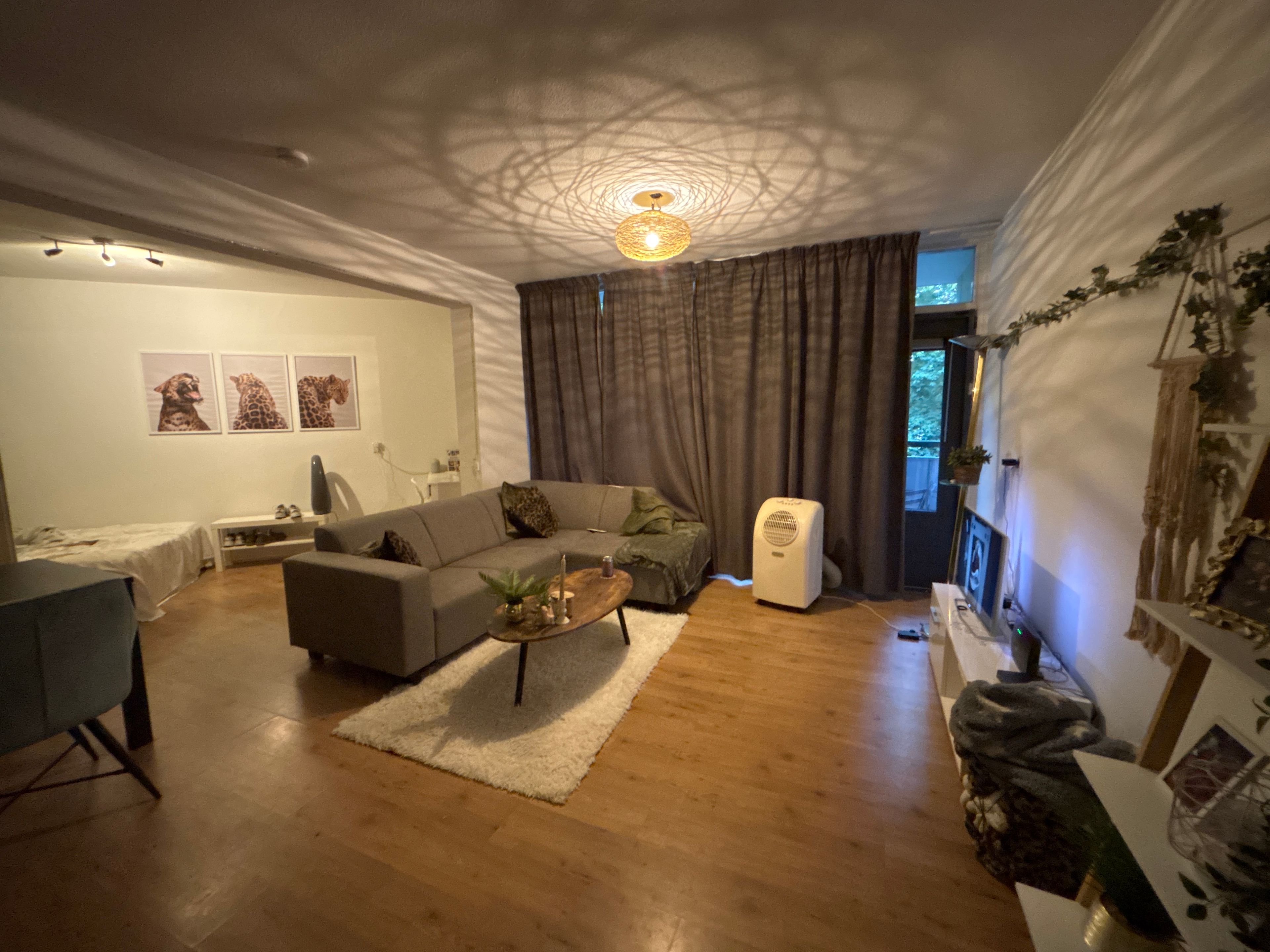 image-18