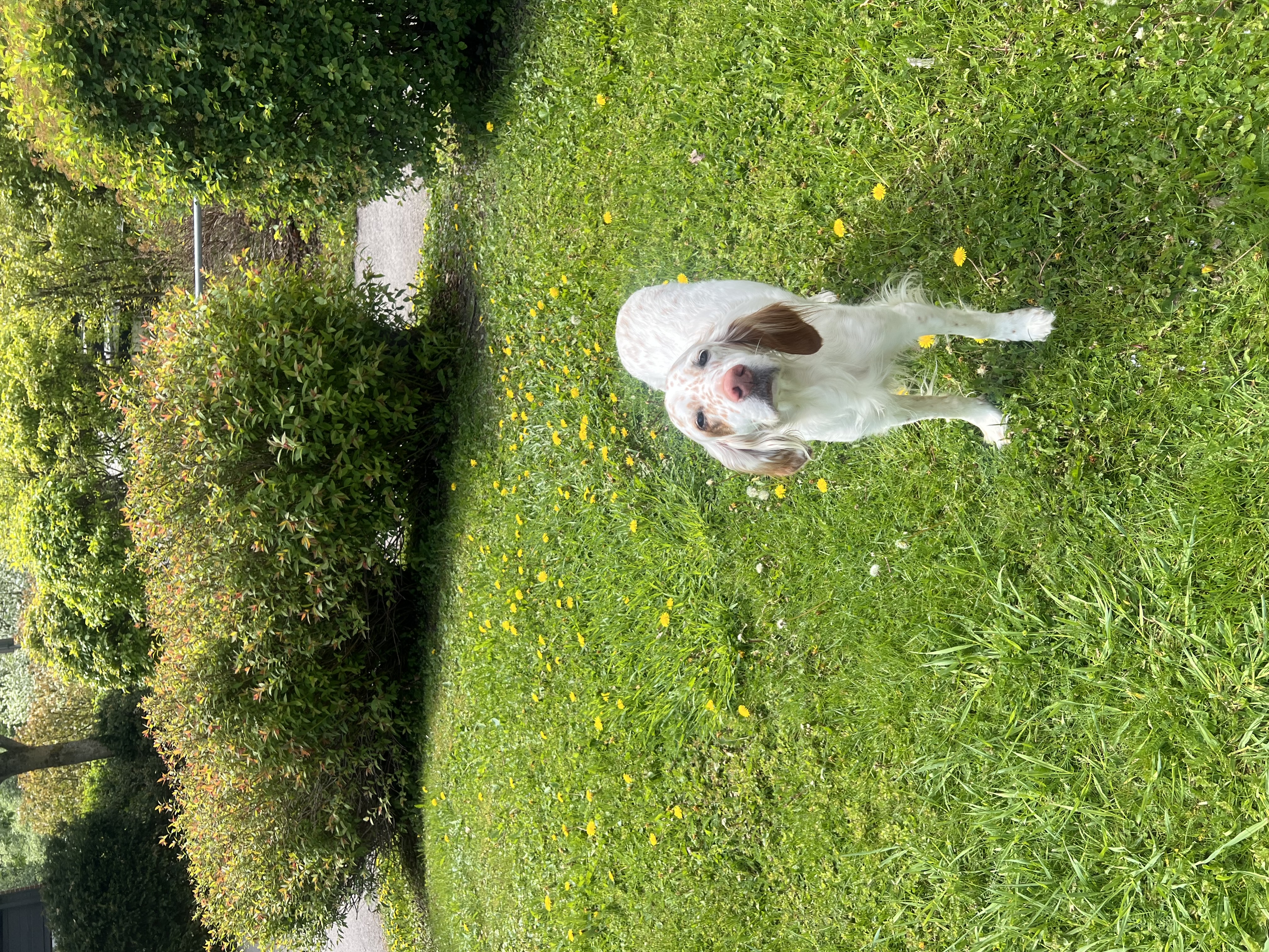 image-13