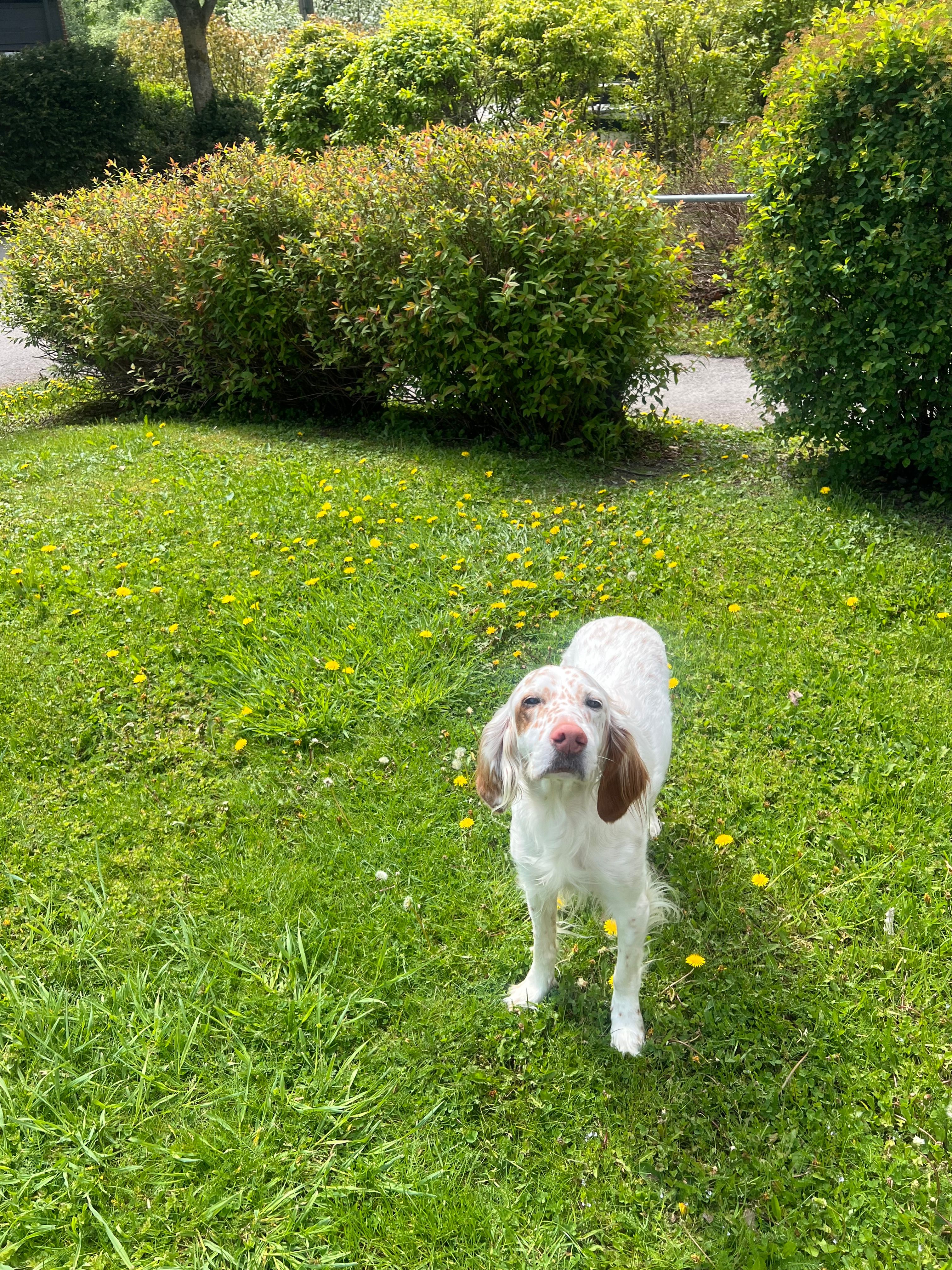 image-13