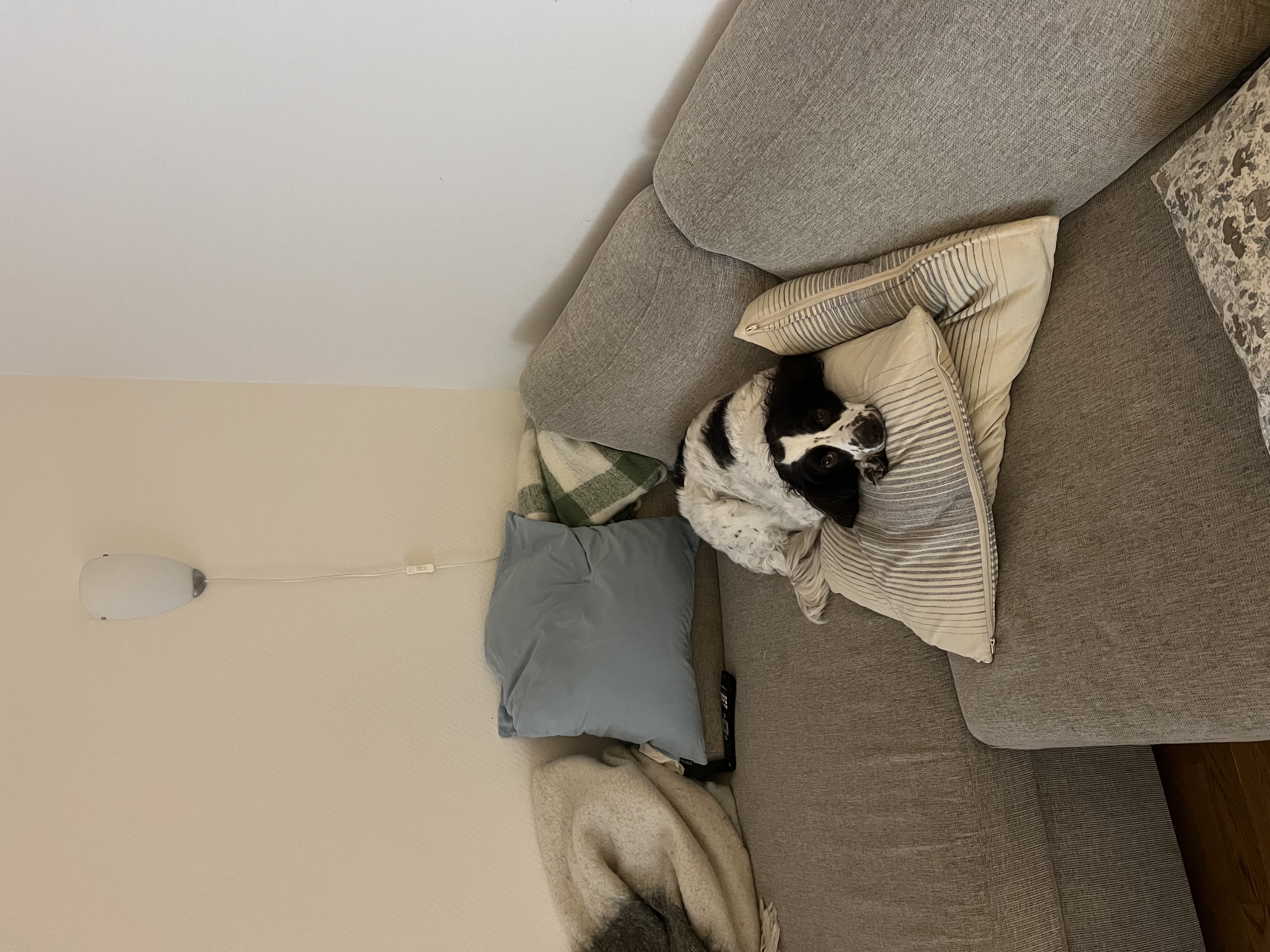 image-15
