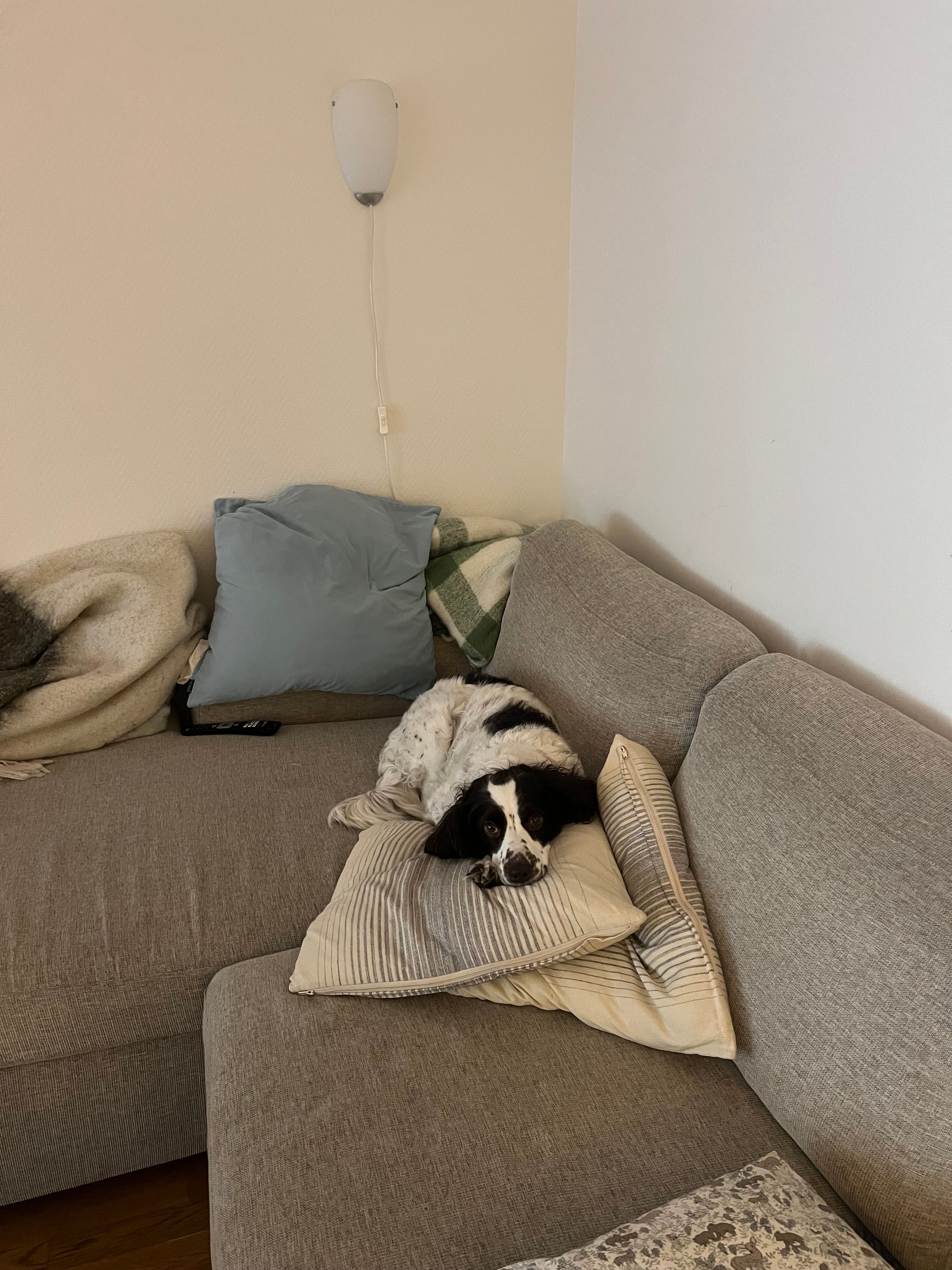 image-15