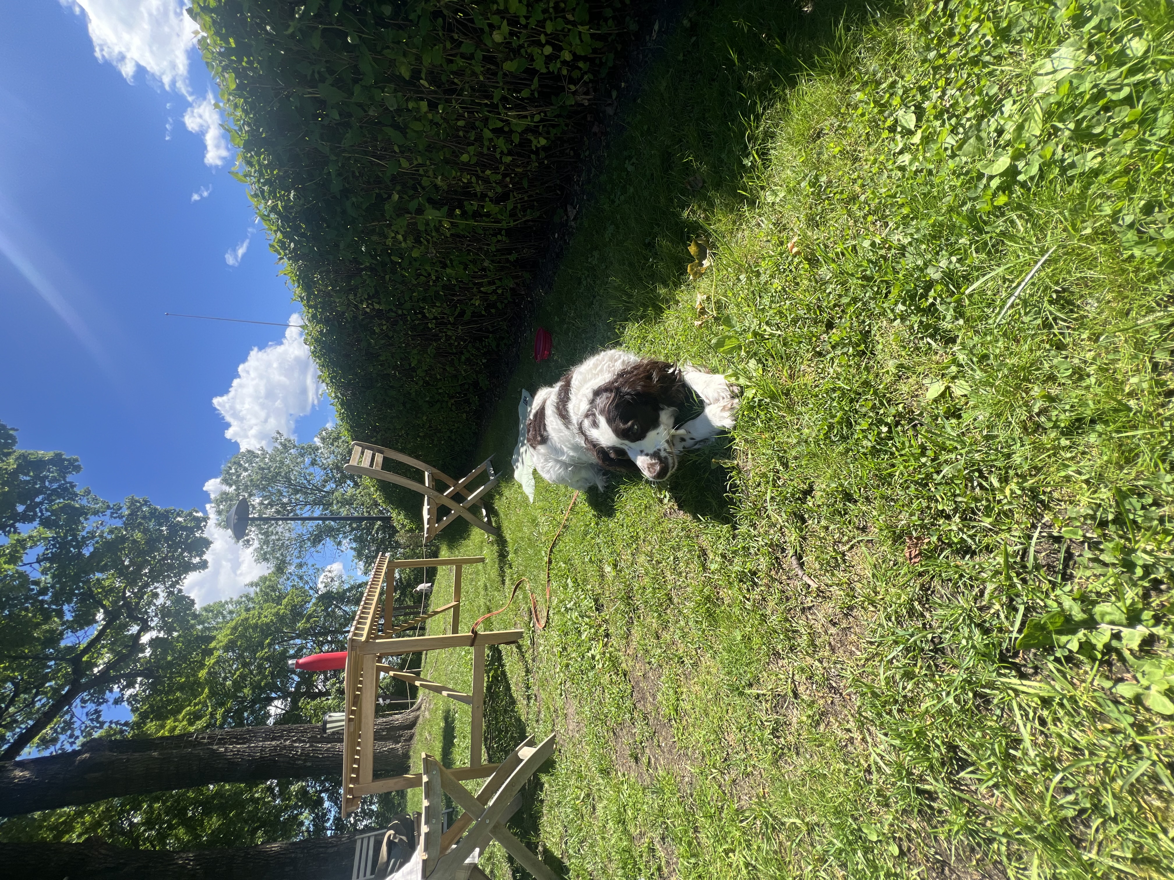 image-18