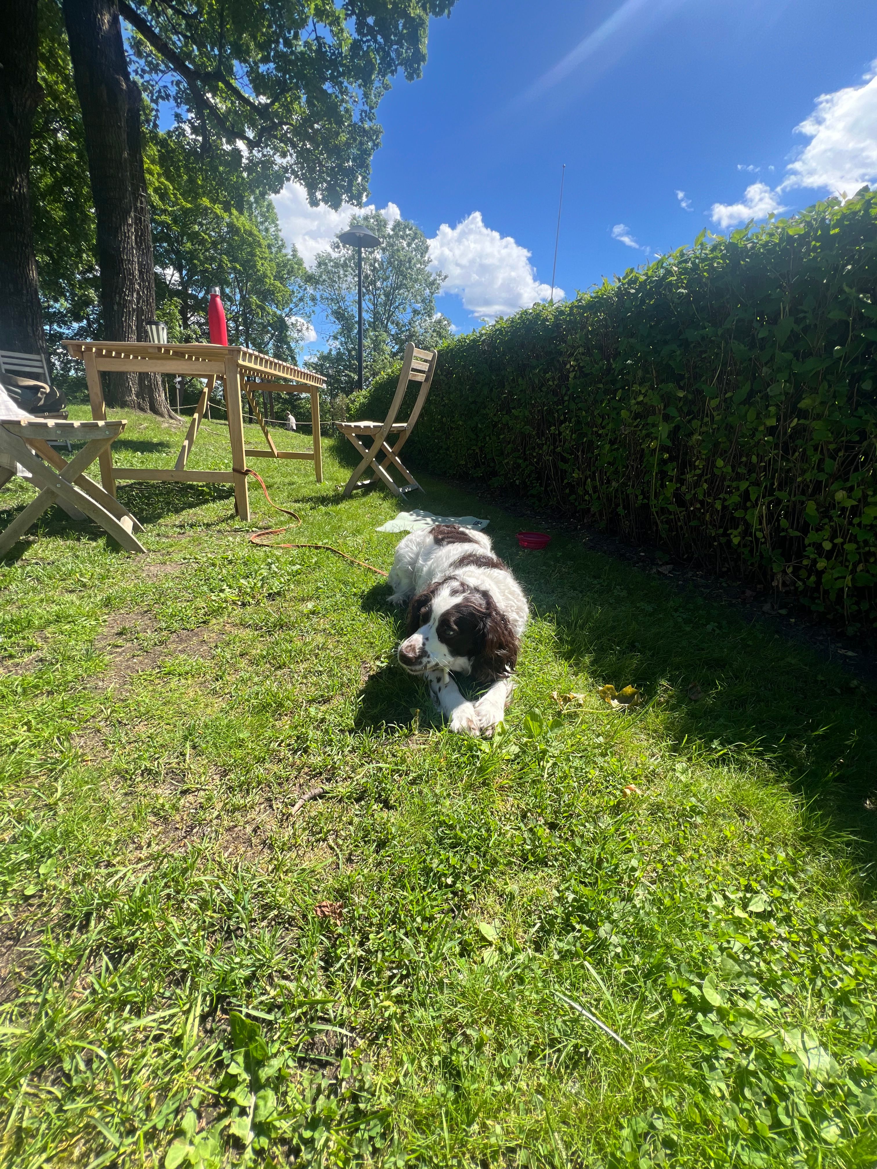 image-18