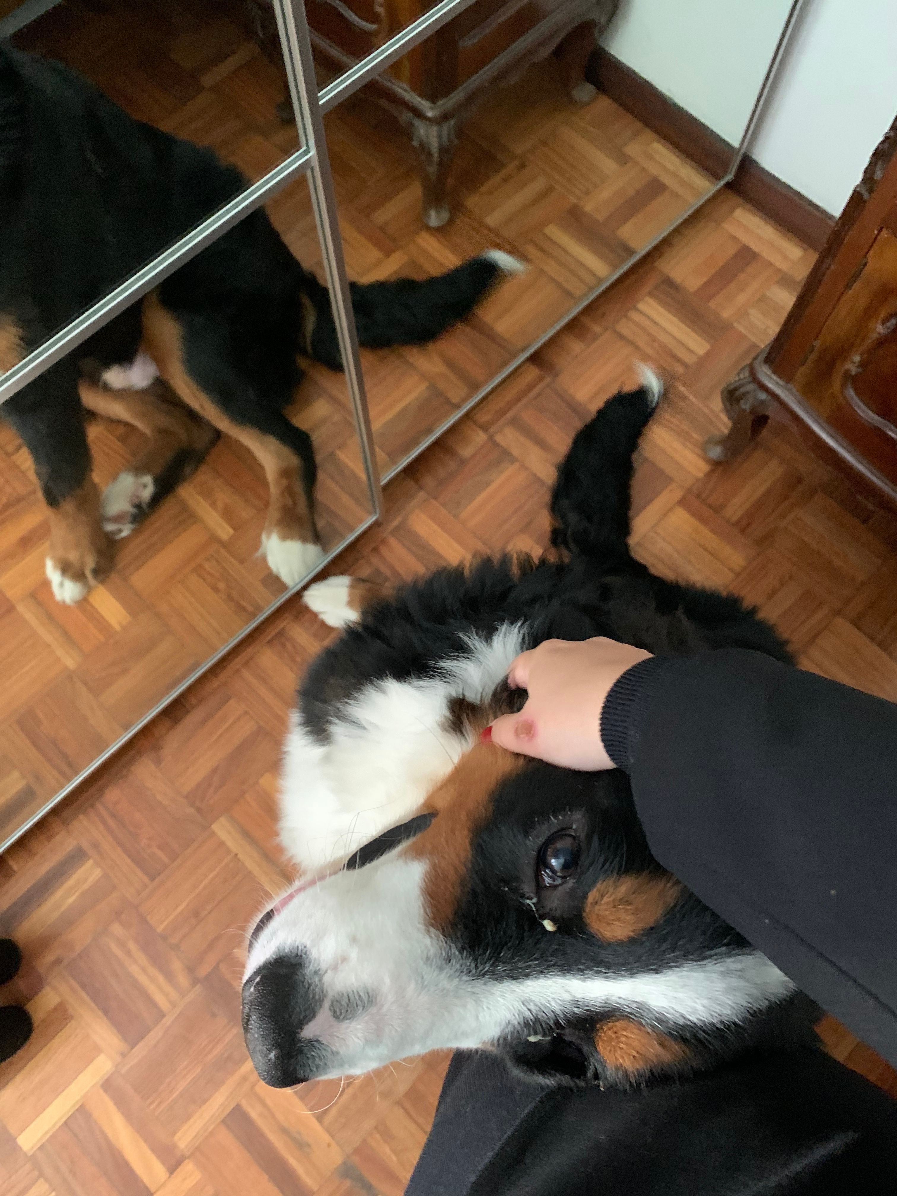 image-11