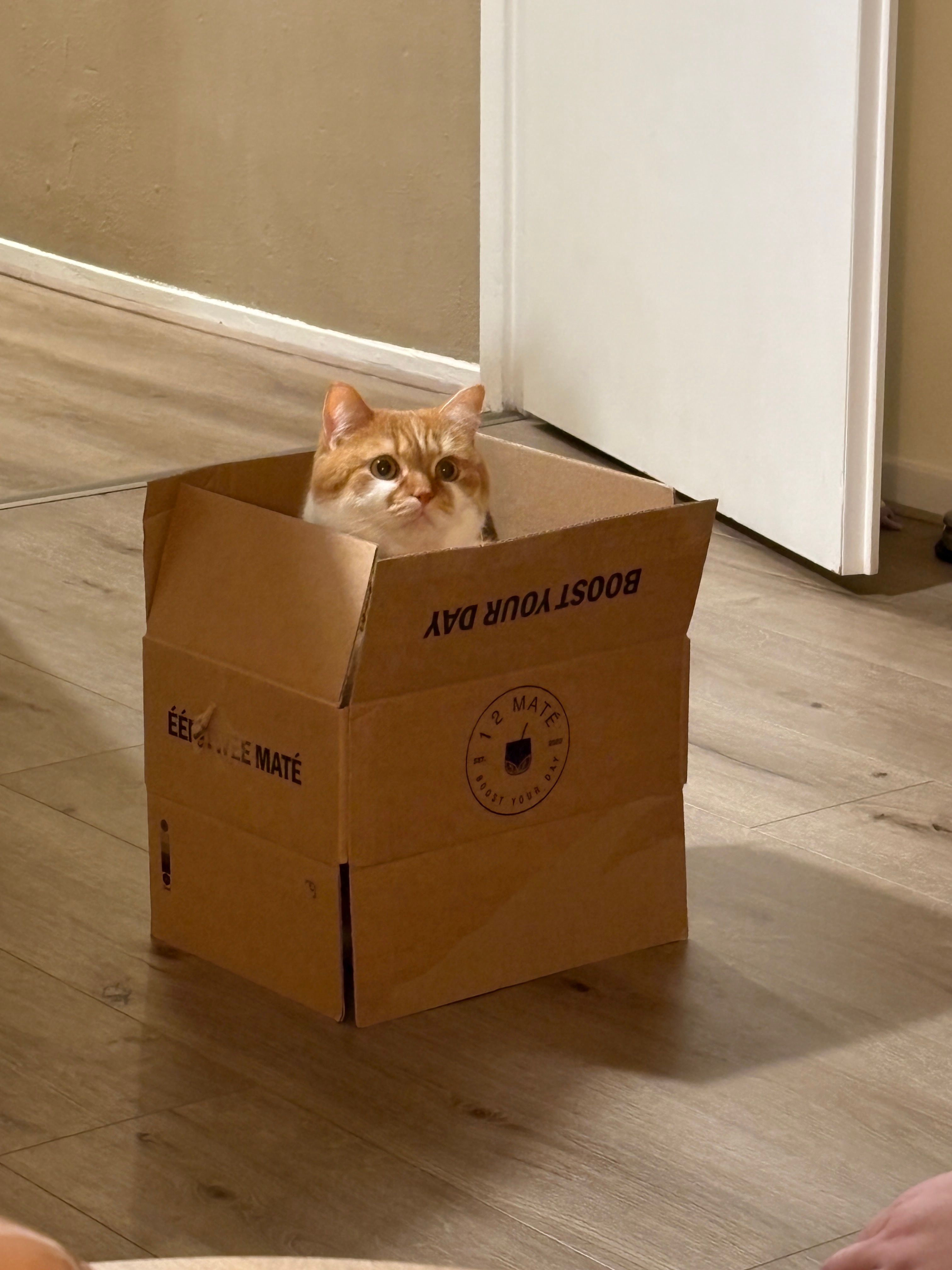 image-7