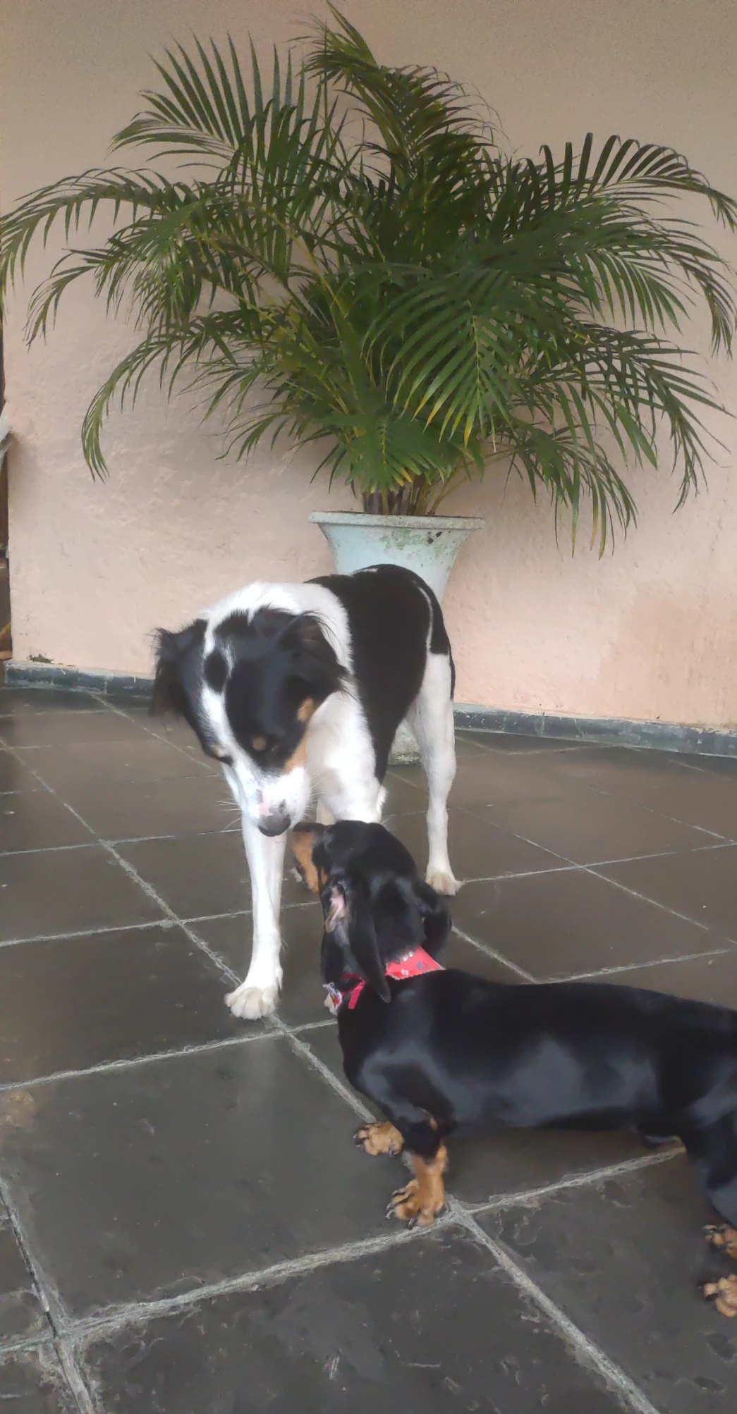 image-9
