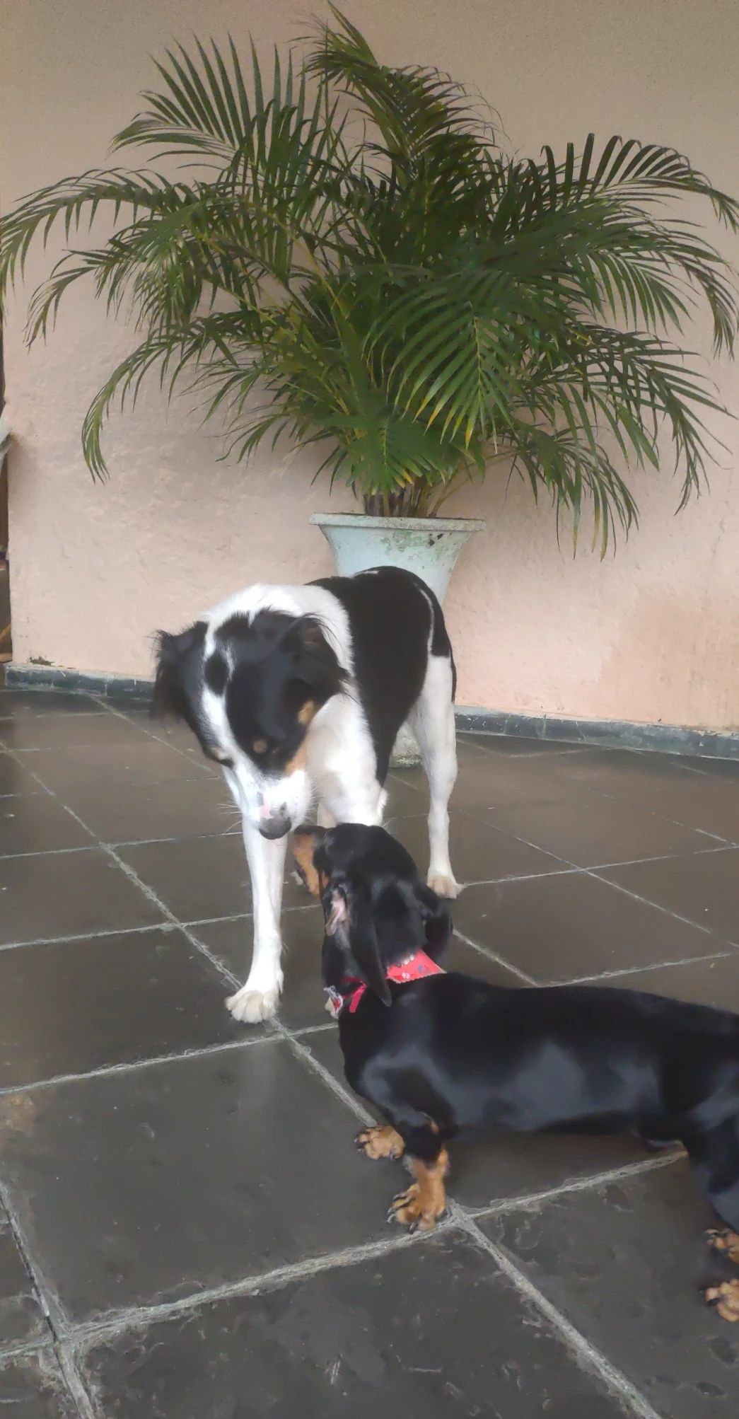 image-9