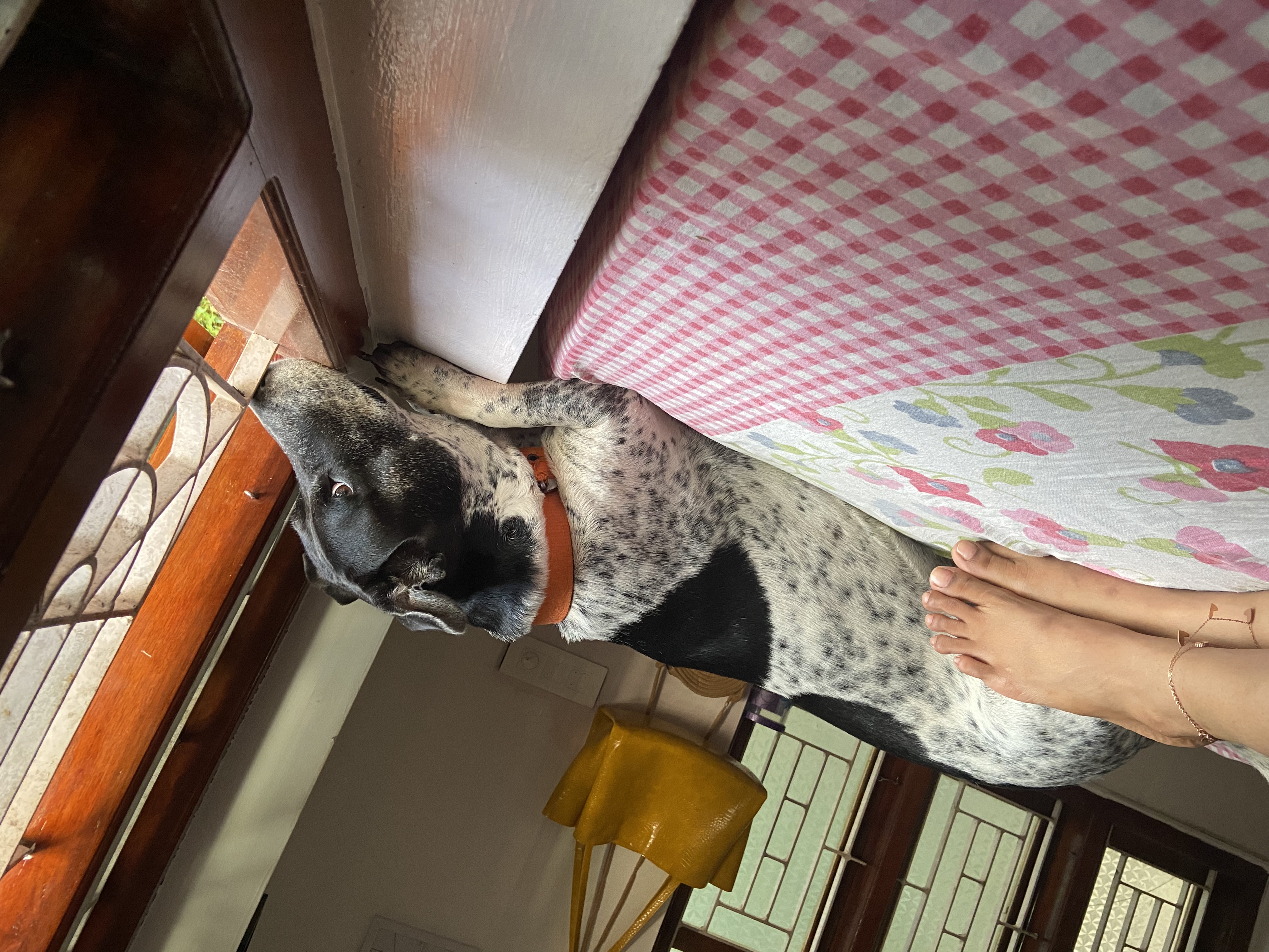 image-16