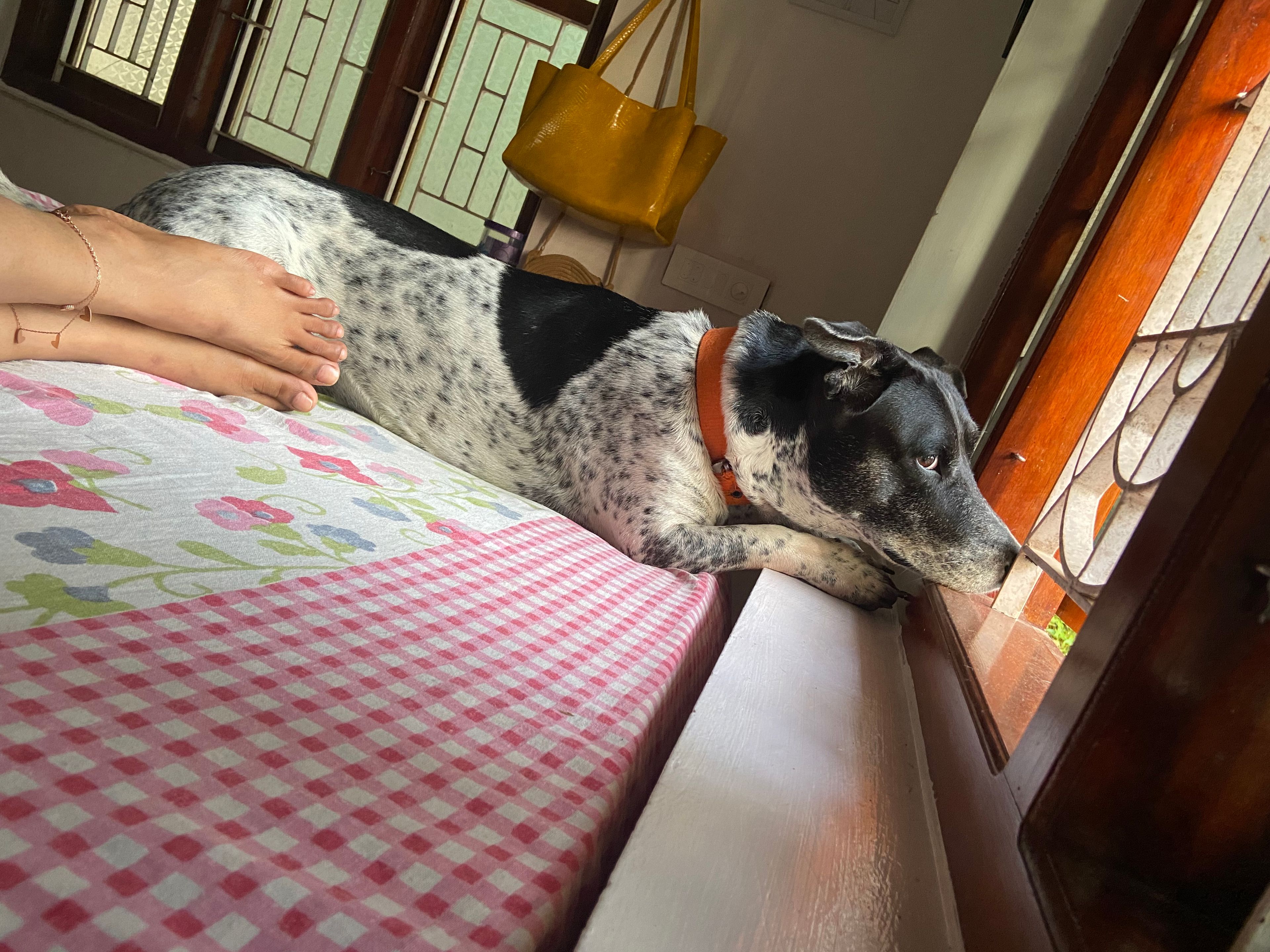 image-16
