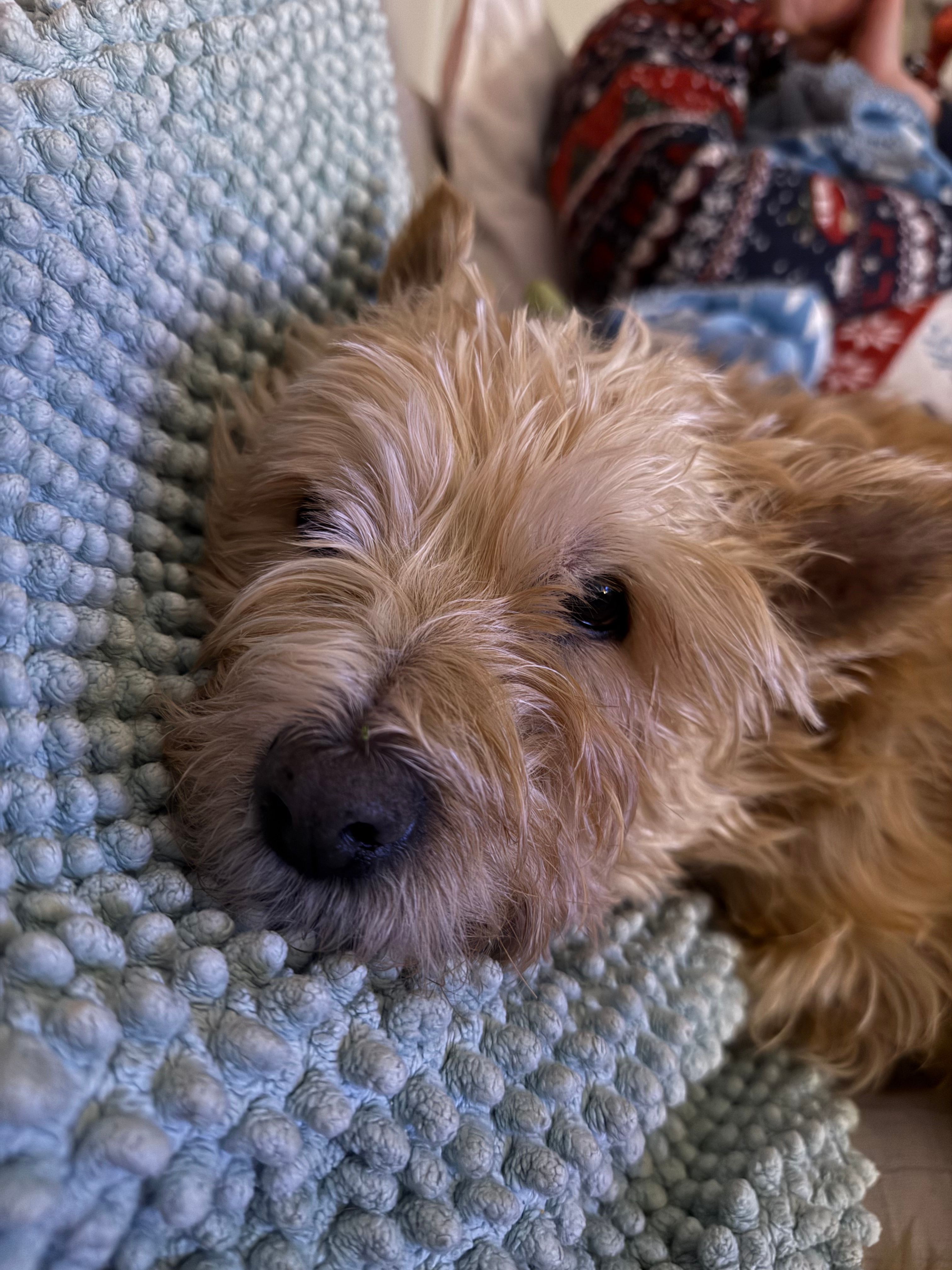 image-5