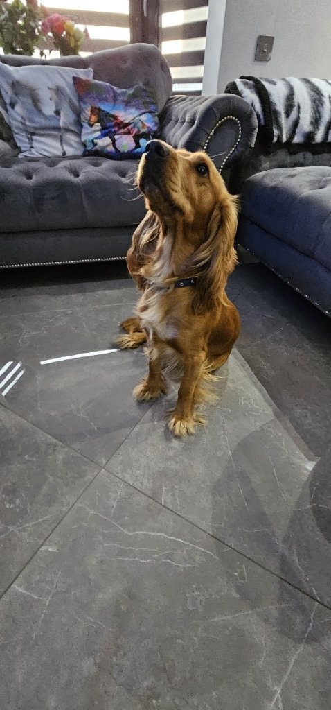 image-14