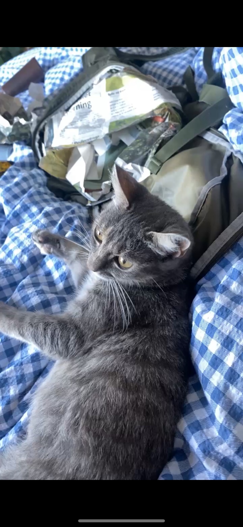image-6