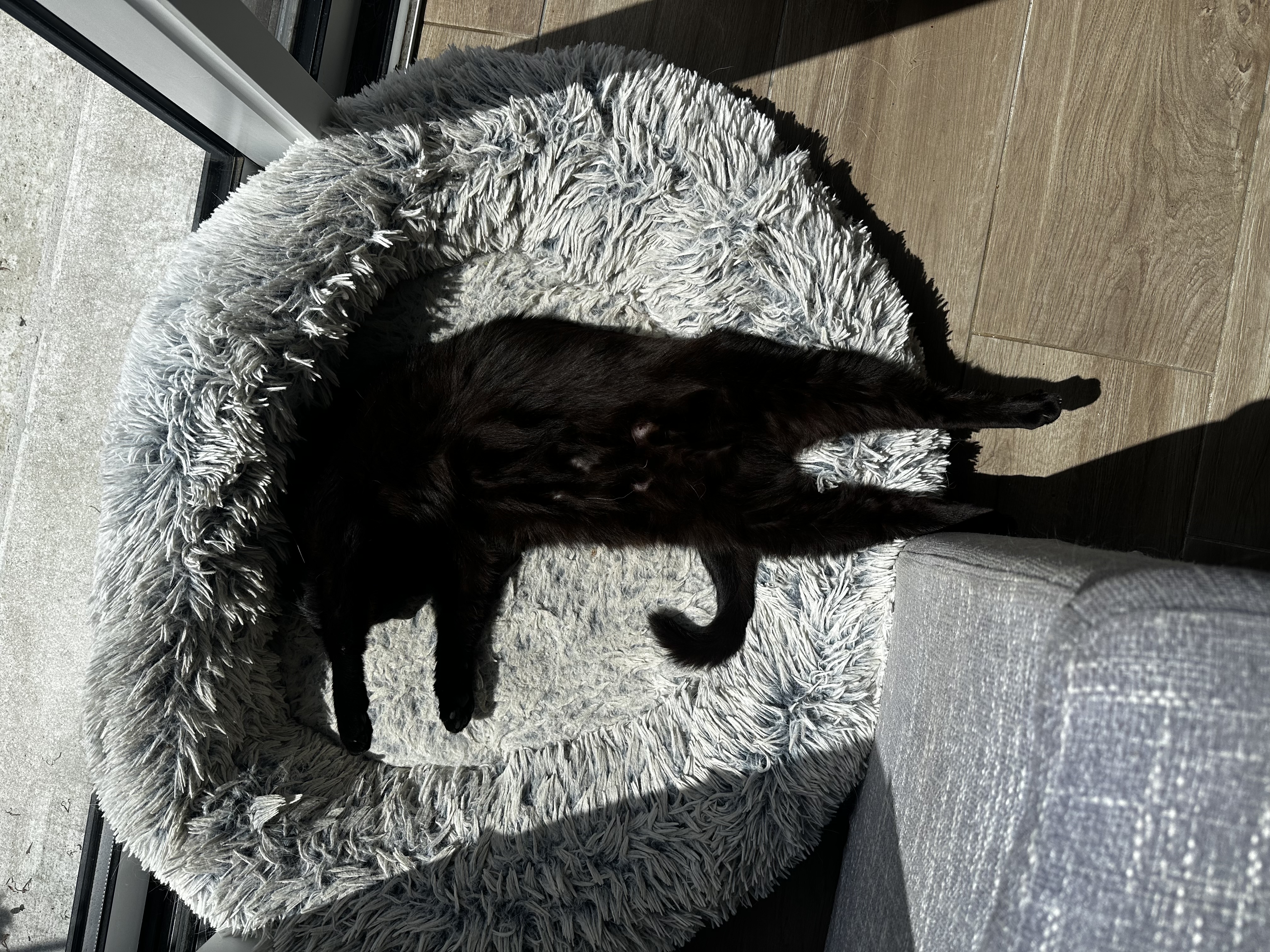 image-7