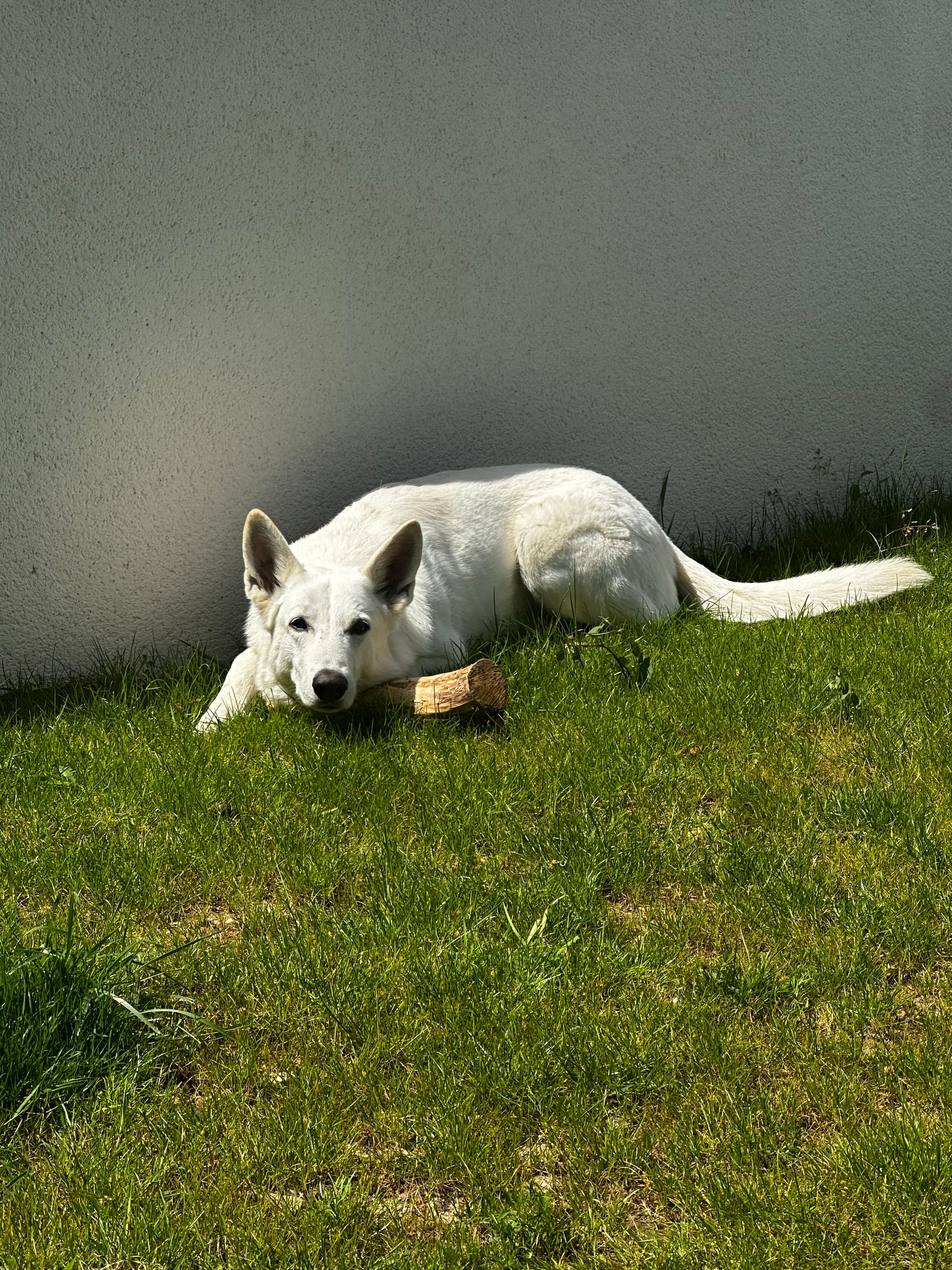 image-8