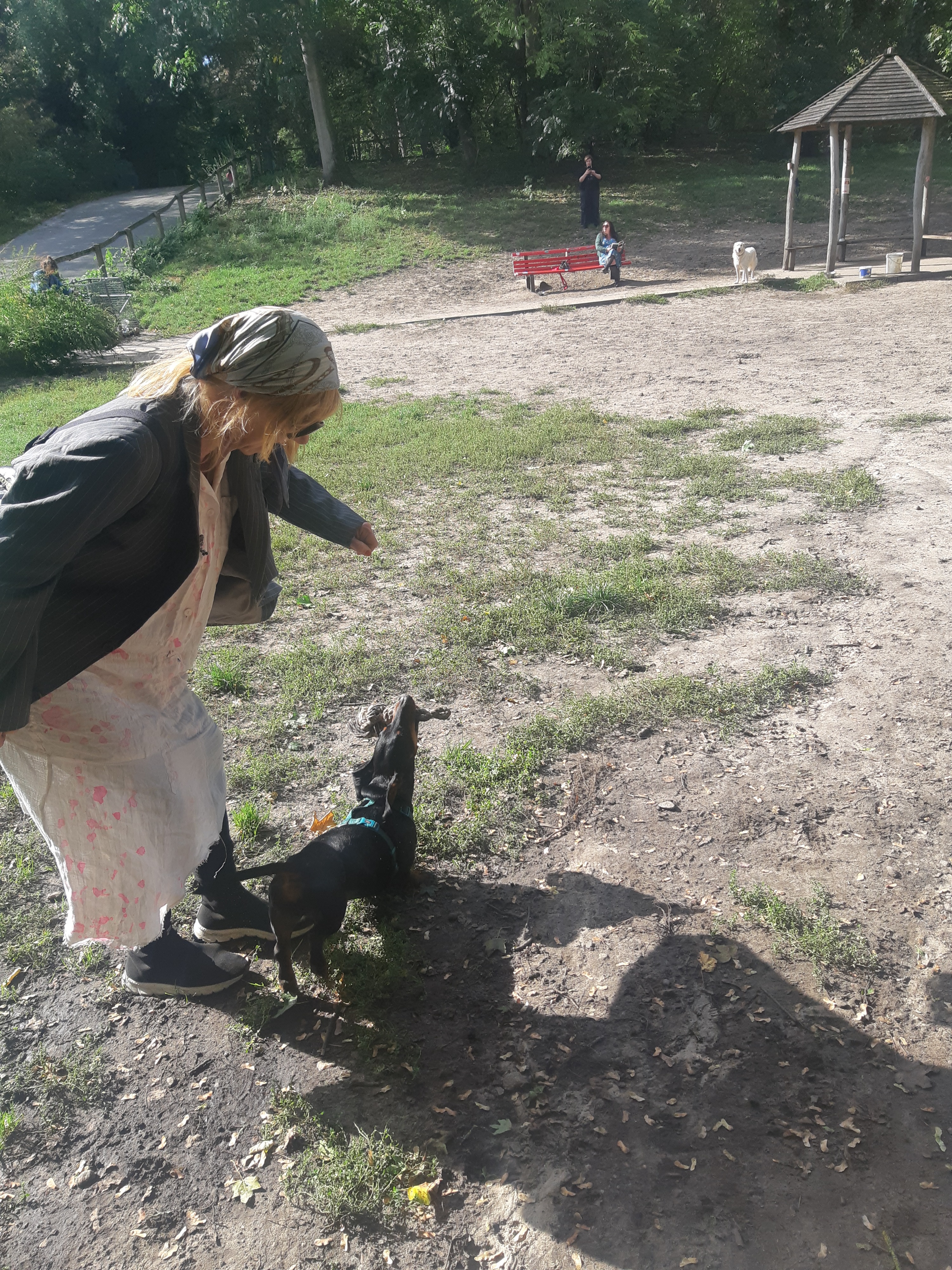 image-3