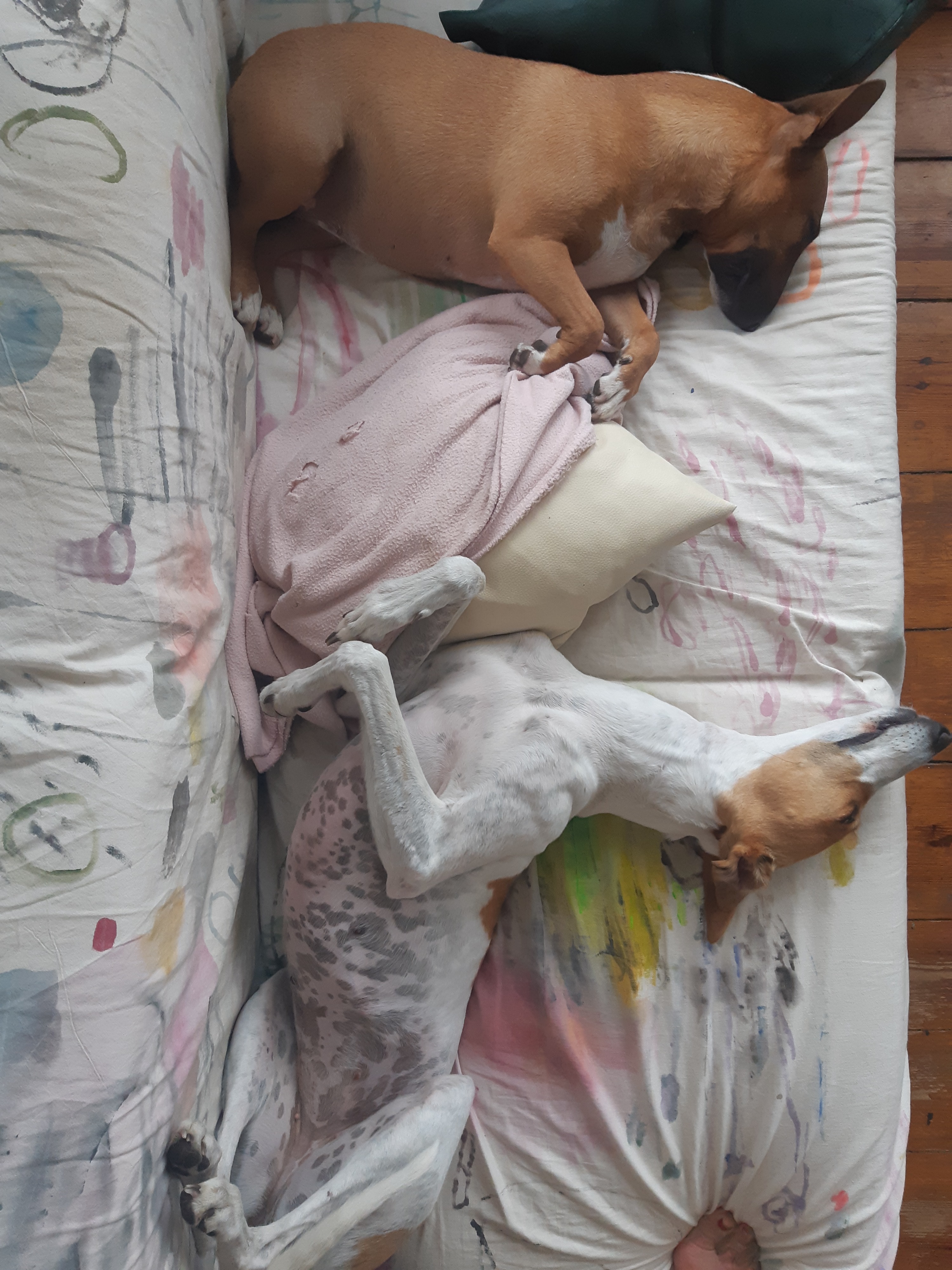image-10