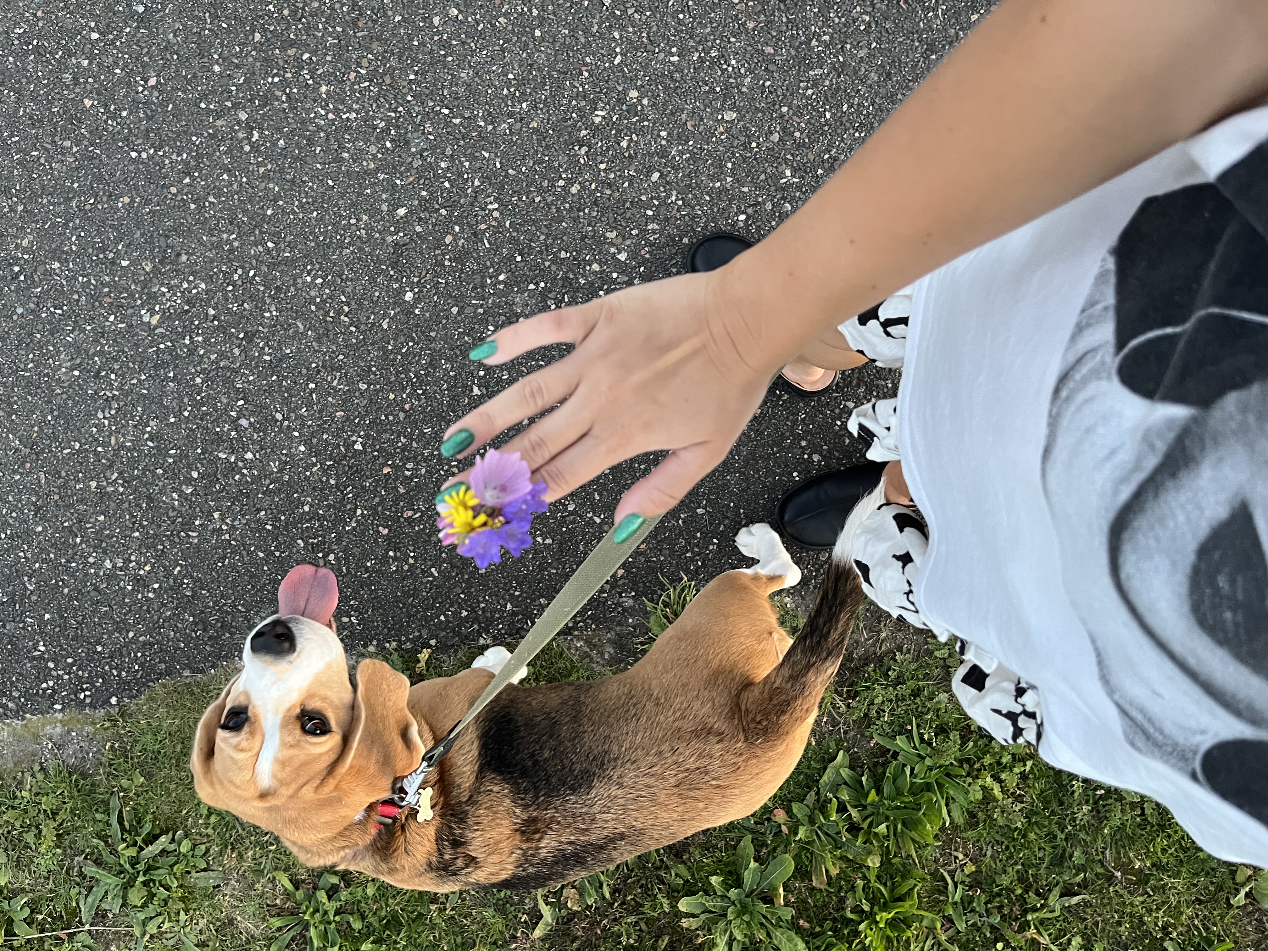 image-6