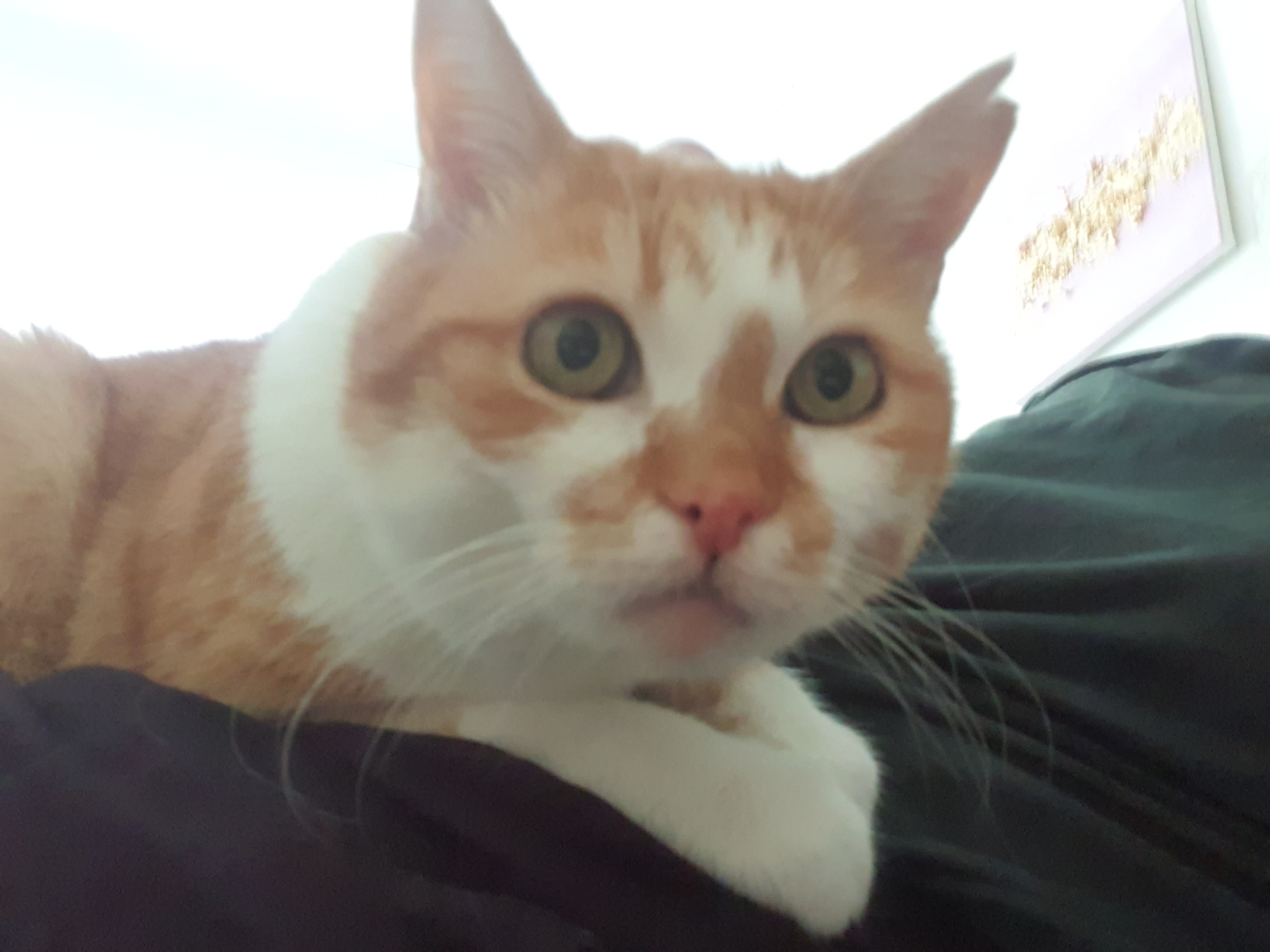 image-6