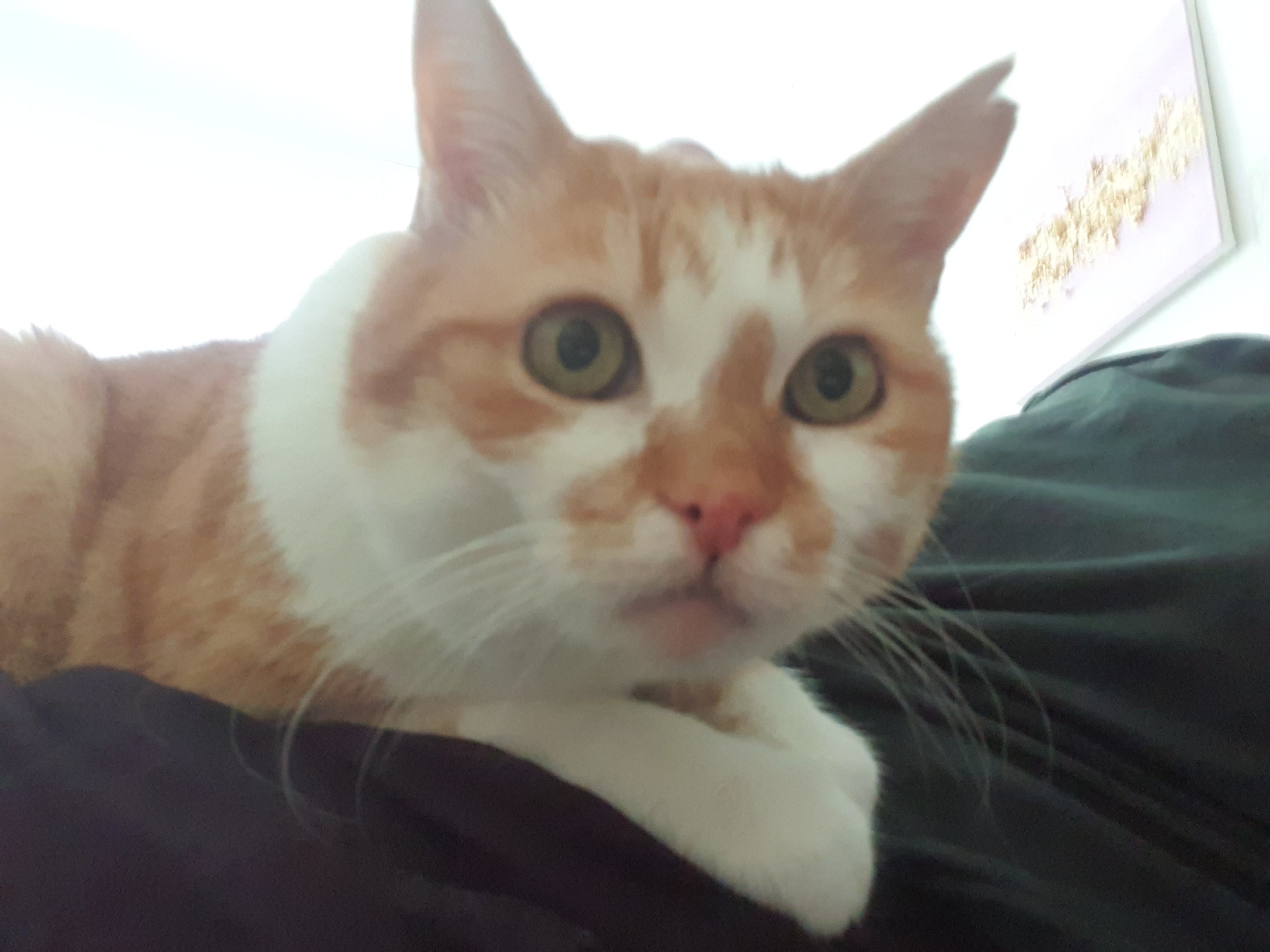 image-6