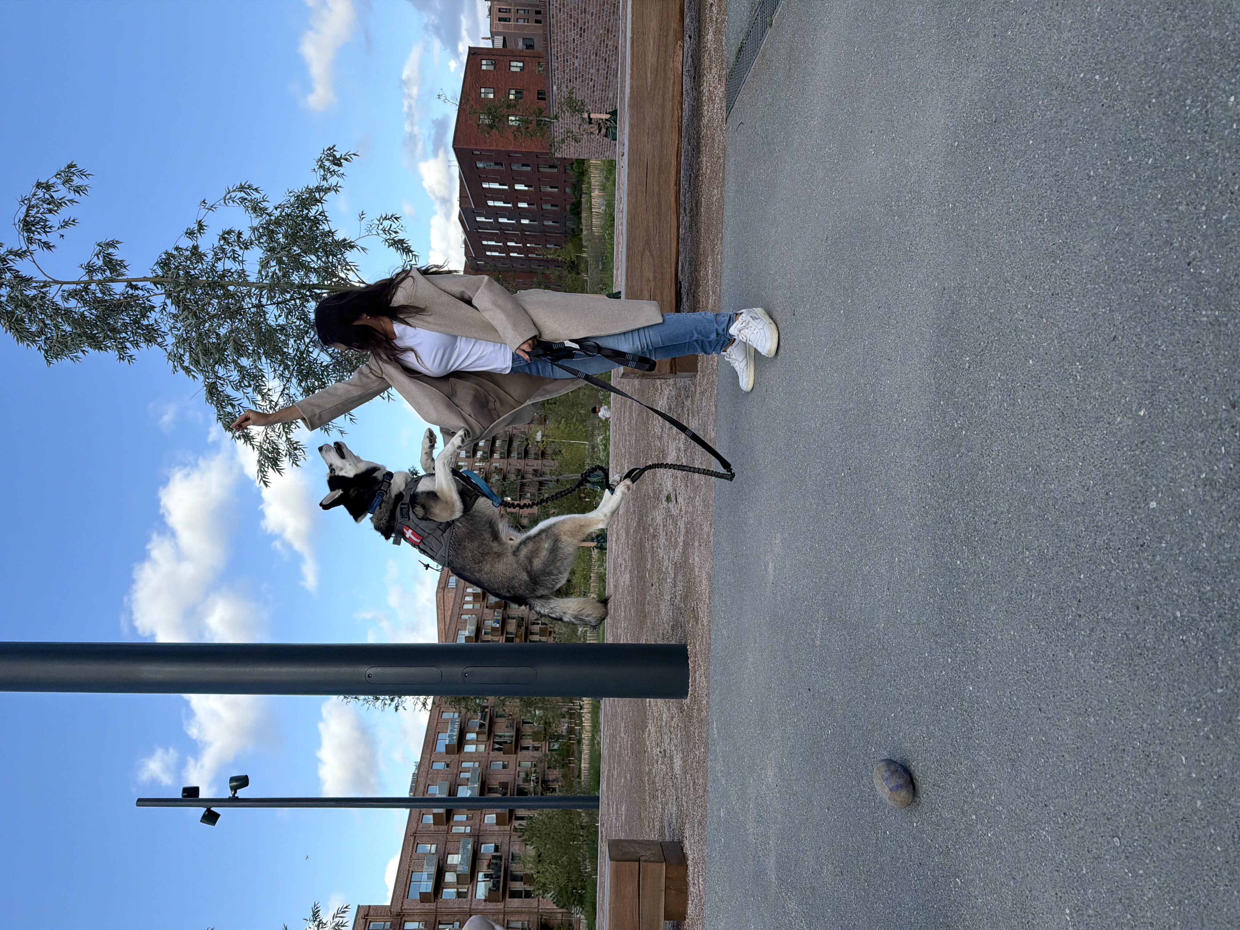 image-21