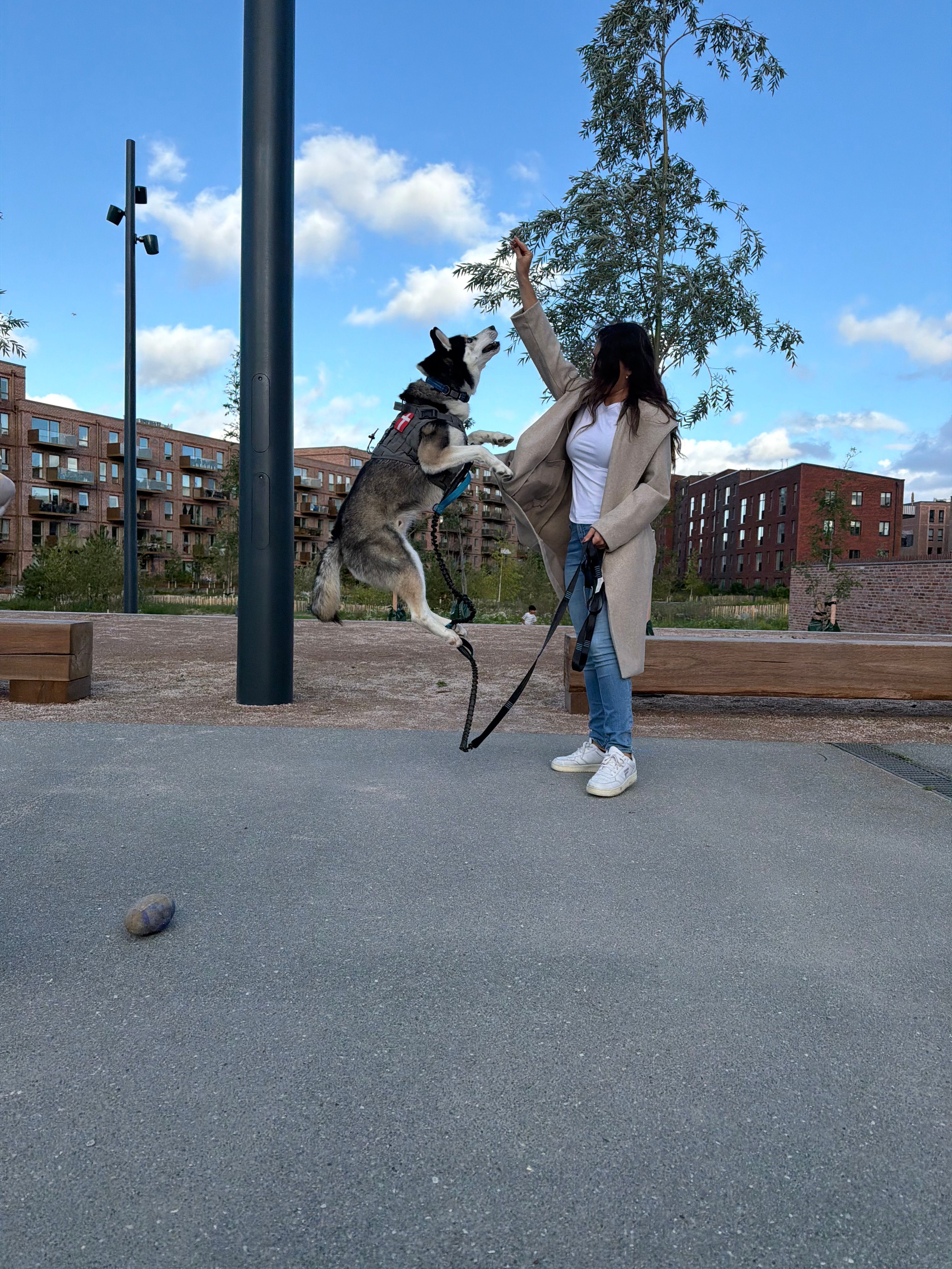 image-21