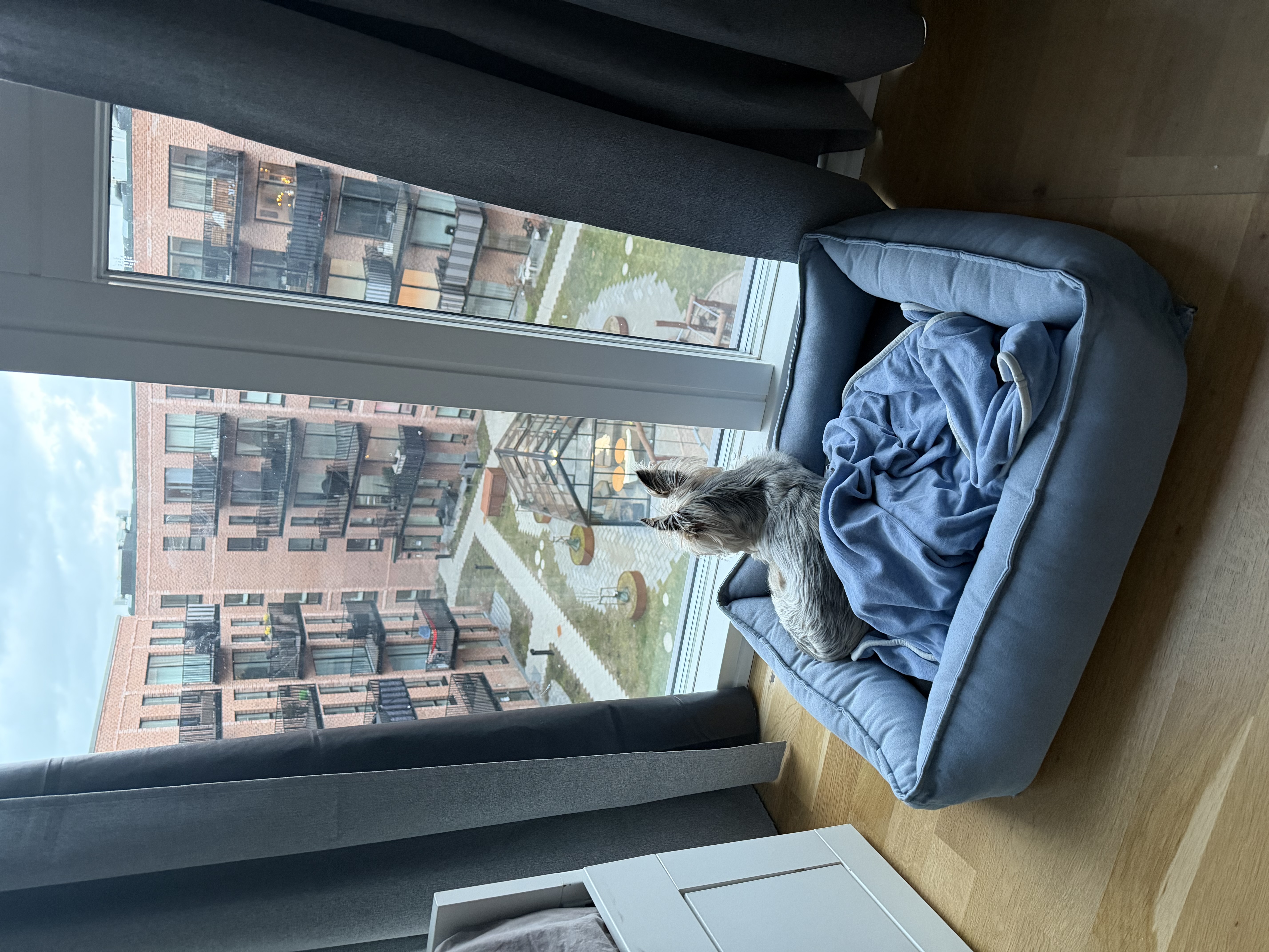 image-7