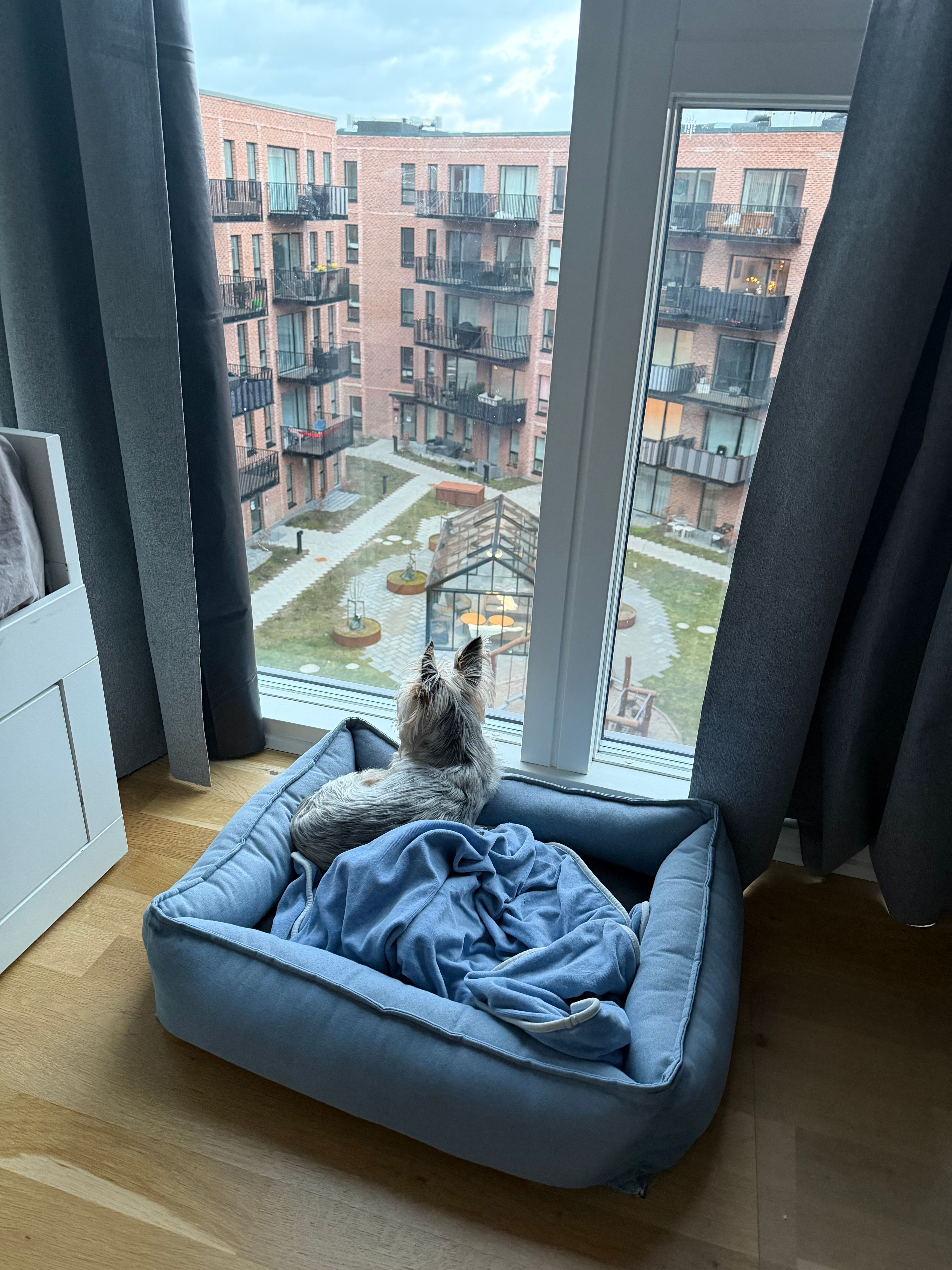 image-7