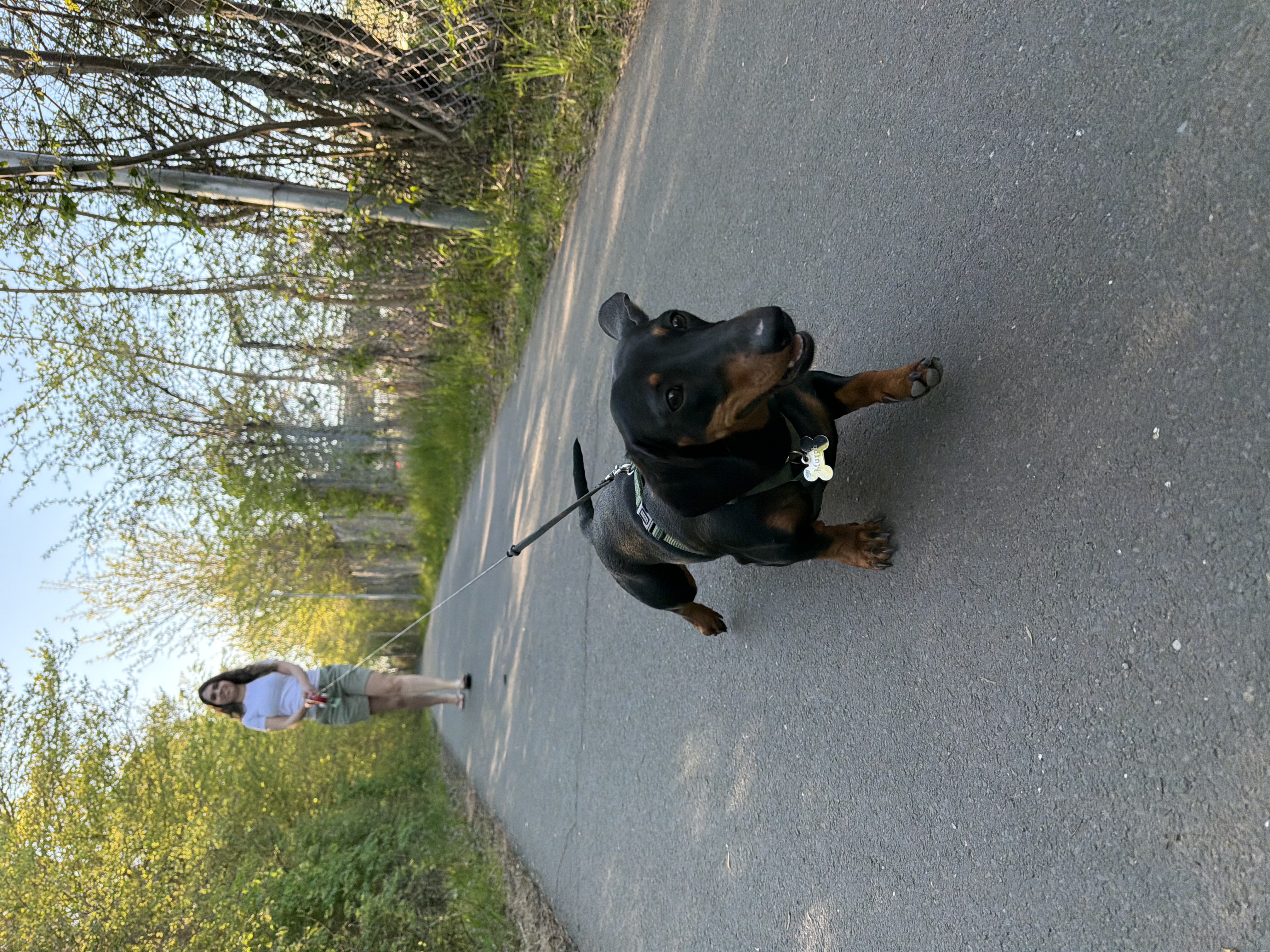 image-5