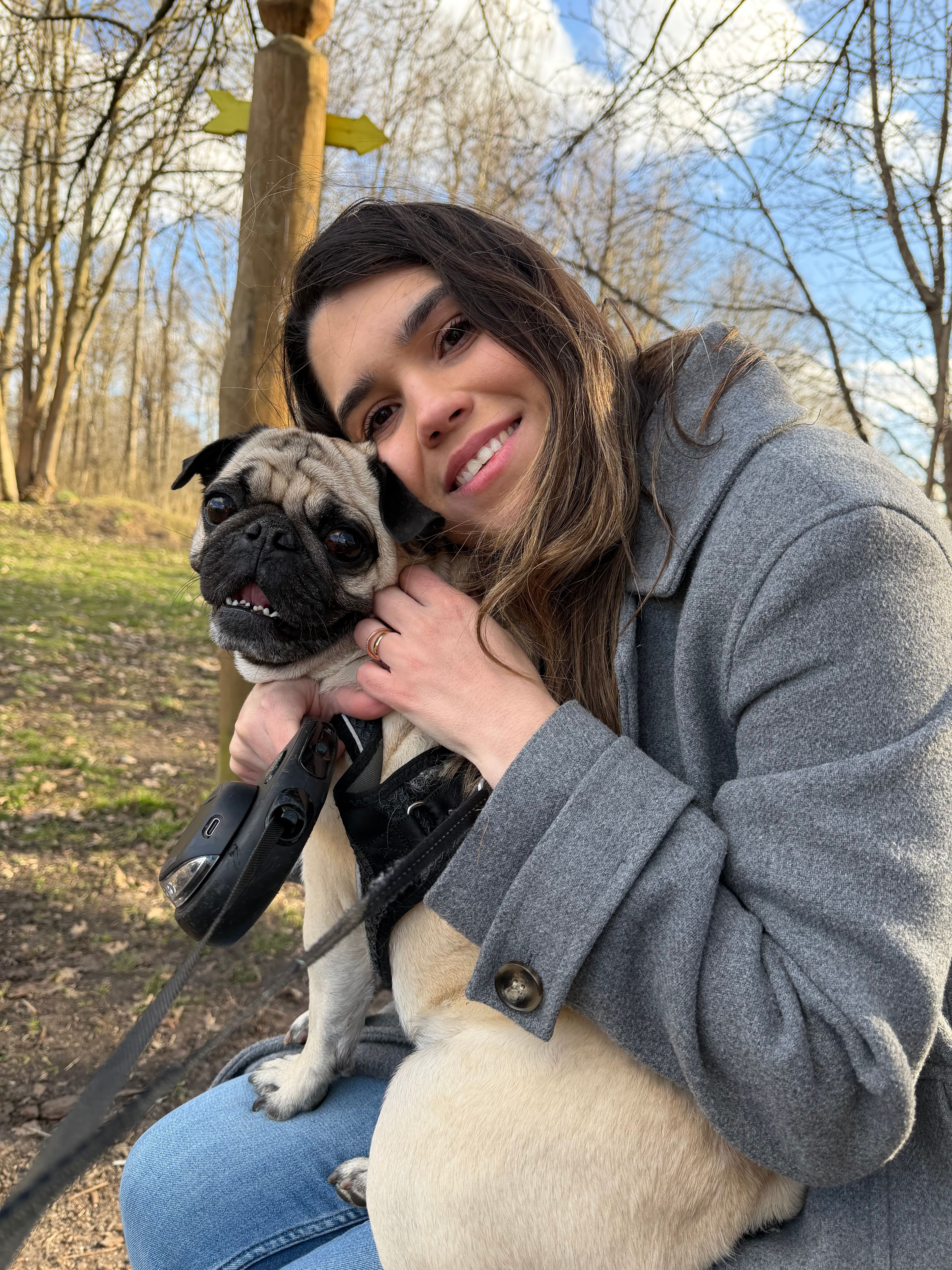 image-3