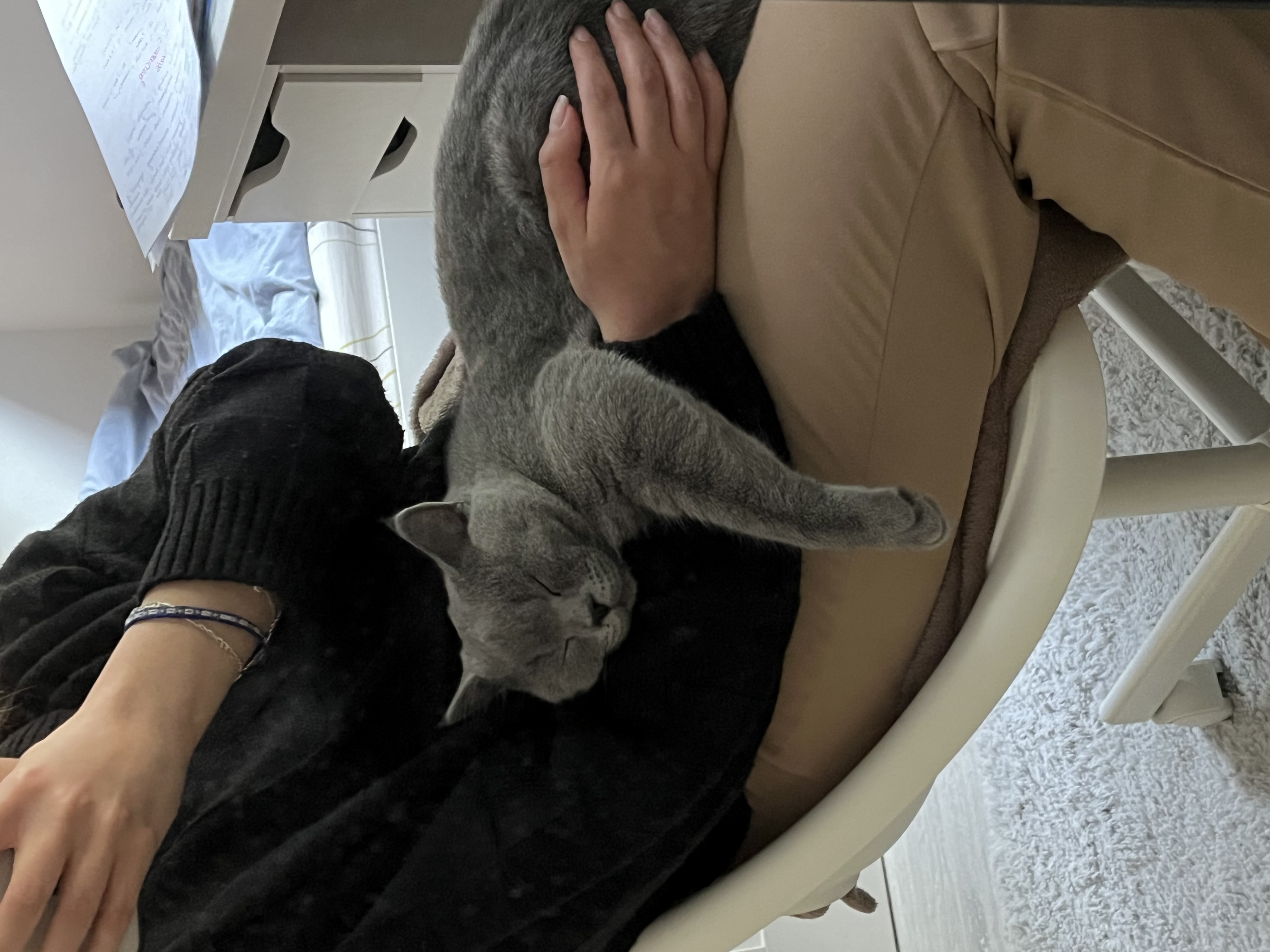 image-8