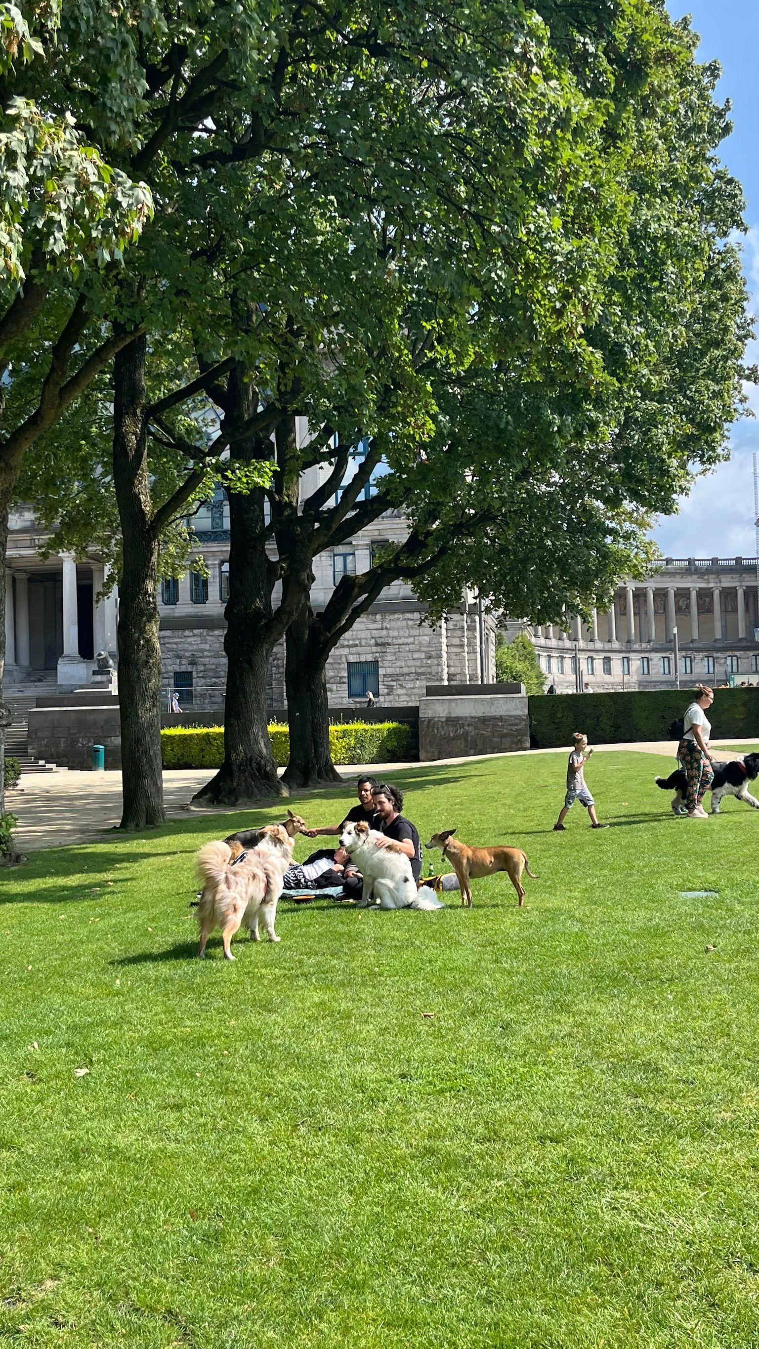 image-5