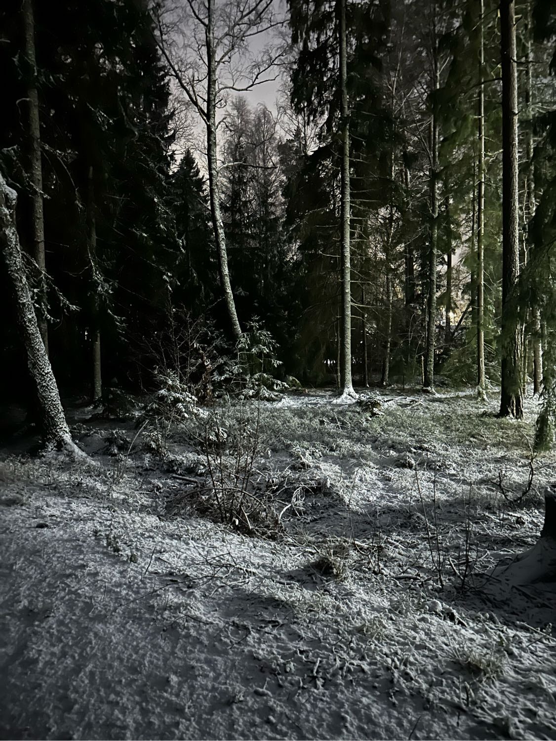 image-7