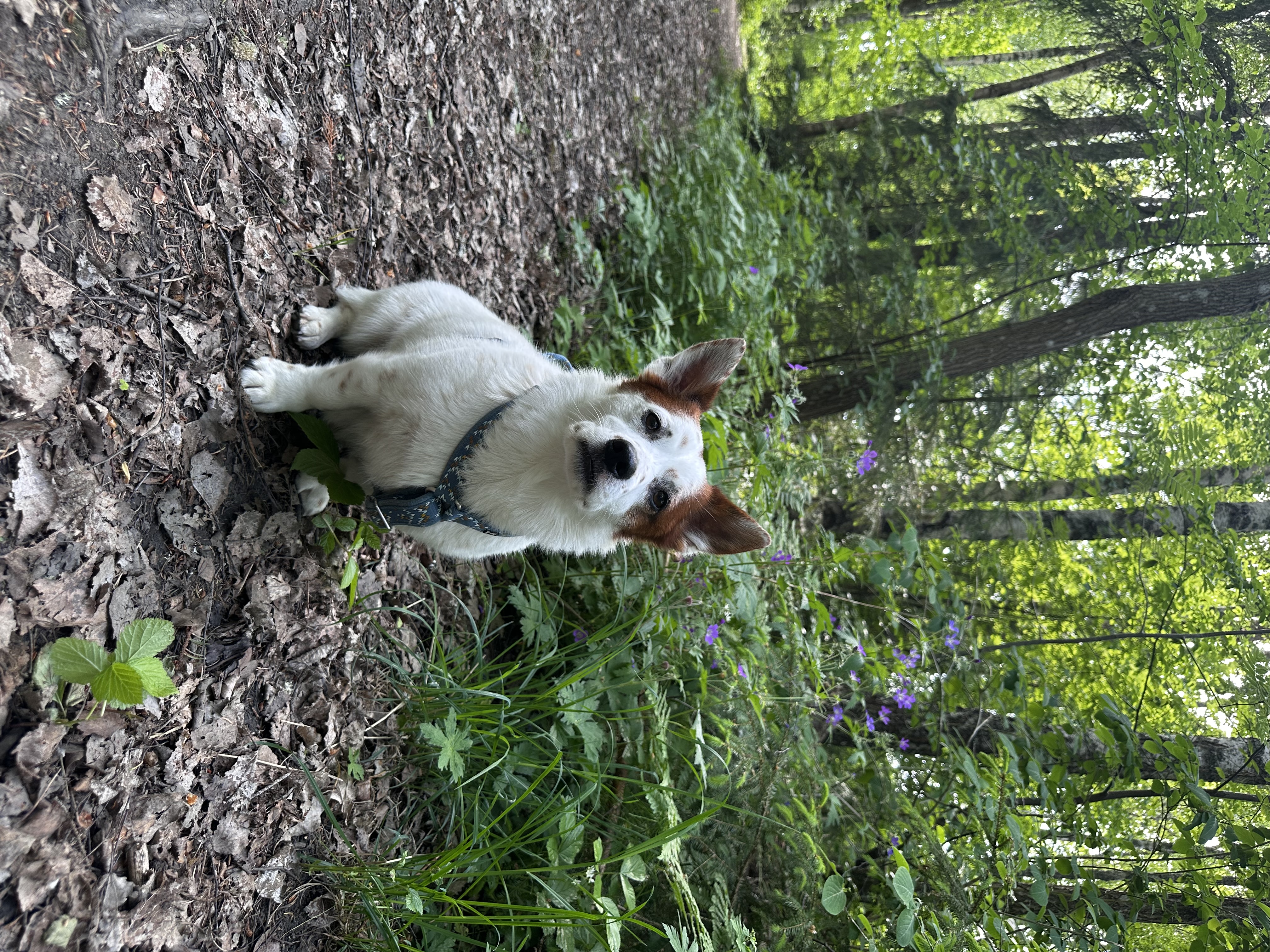 image-17
